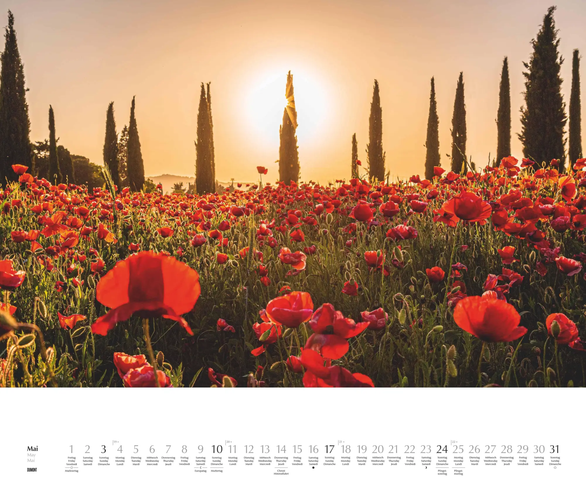 Bild: 4069095003651 | Licht in der Landschaft 2026 - Wandkalender 60,0 x 50,0 cm -...