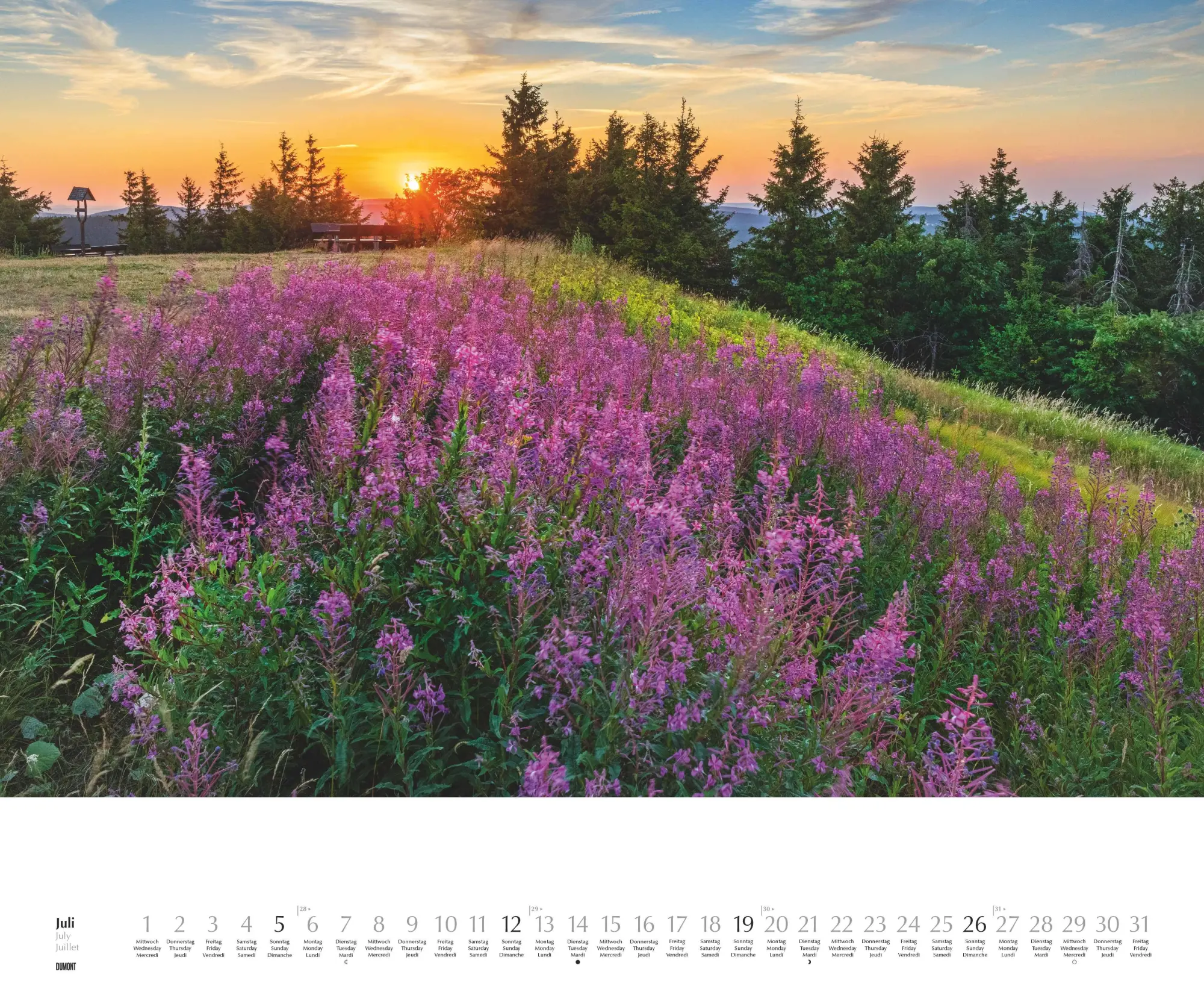 Bild: 4069095003651 | Licht in der Landschaft 2026 - Wandkalender 60,0 x 50,0 cm -...