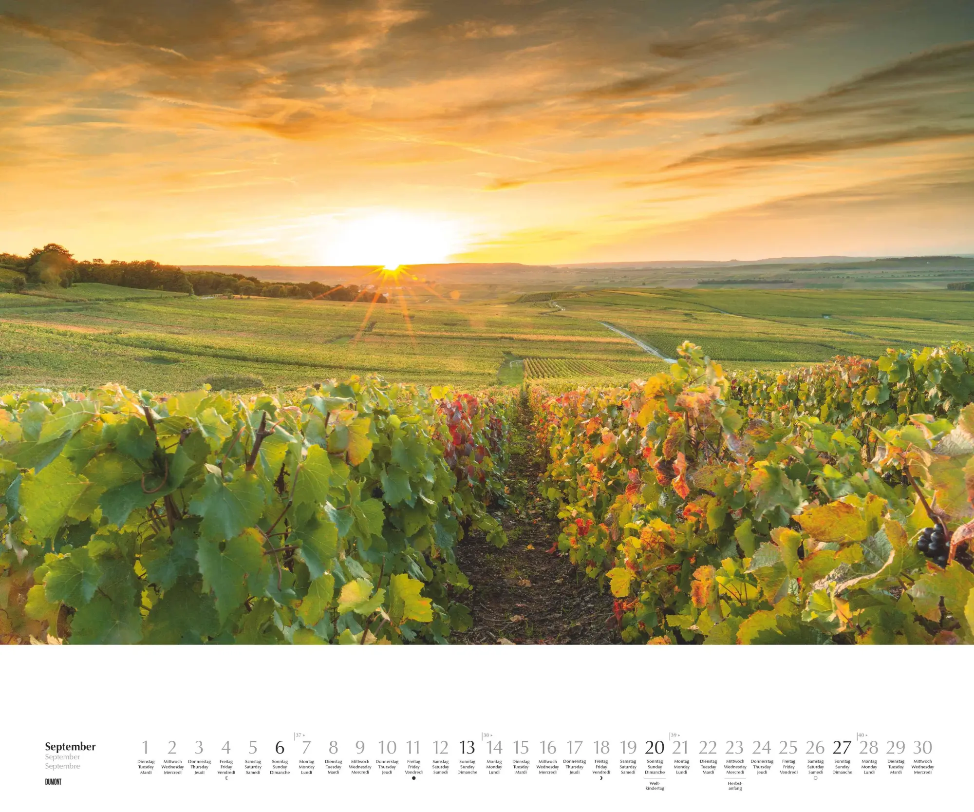 Bild: 4069095003651 | Licht in der Landschaft 2026 - Wandkalender 60,0 x 50,0 cm -...
