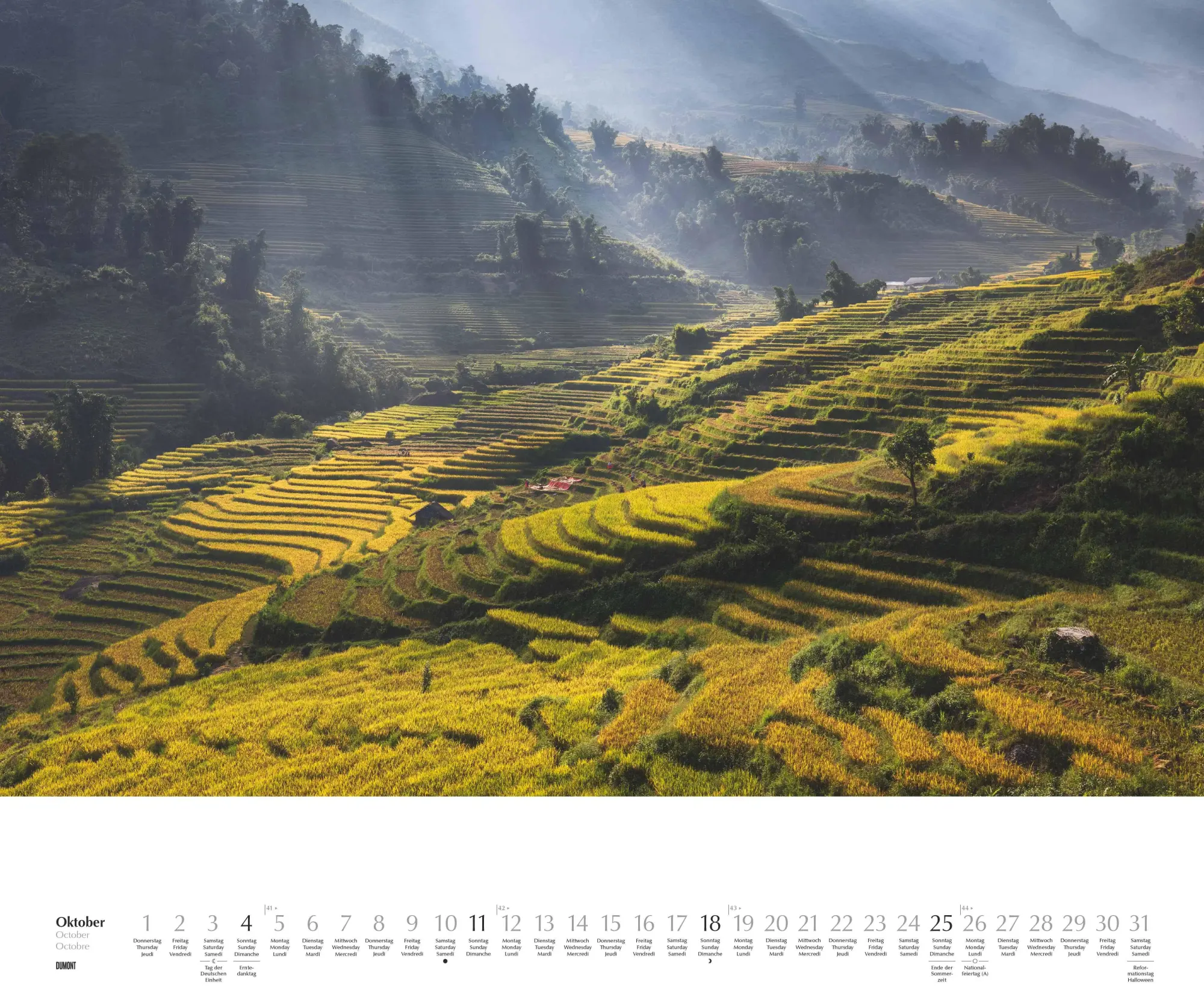 Bild: 4069095003651 | Licht in der Landschaft 2026 - Wandkalender 60,0 x 50,0 cm -...