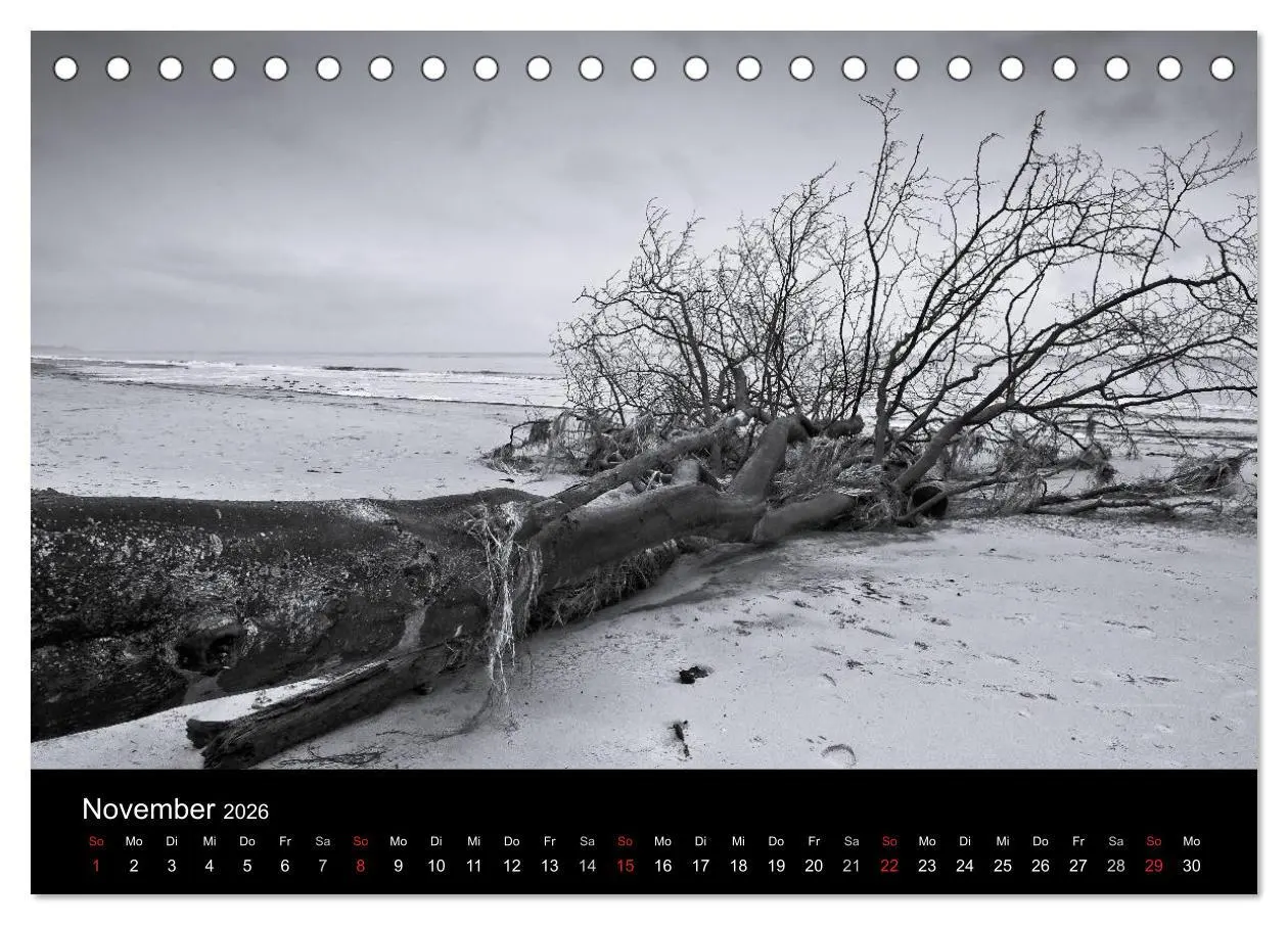 Bild: 9783516083651 | Strandspaziergang an der Ostsee (Tischkalender 2026 DIN A5 quer),...