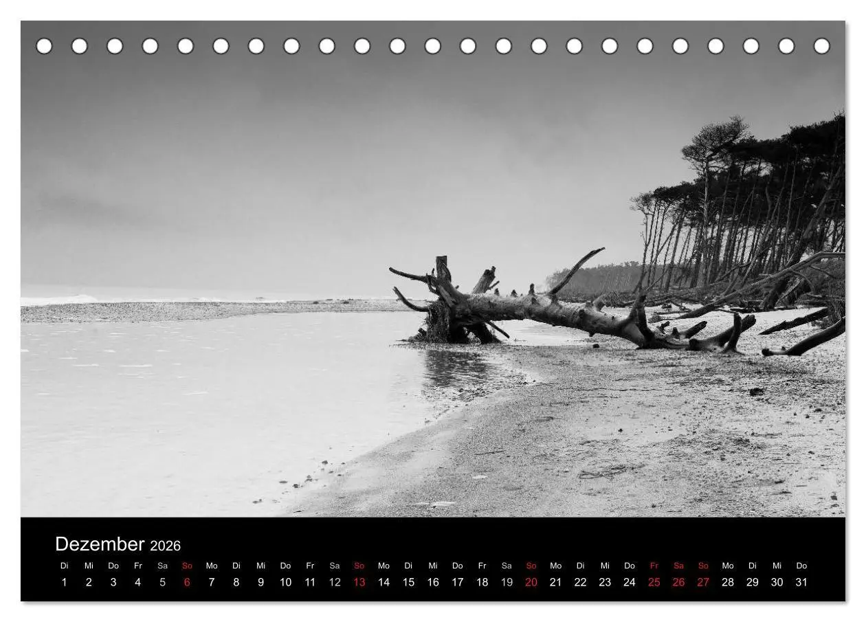 Bild: 9783516083651 | Strandspaziergang an der Ostsee (Tischkalender 2026 DIN A5 quer),...