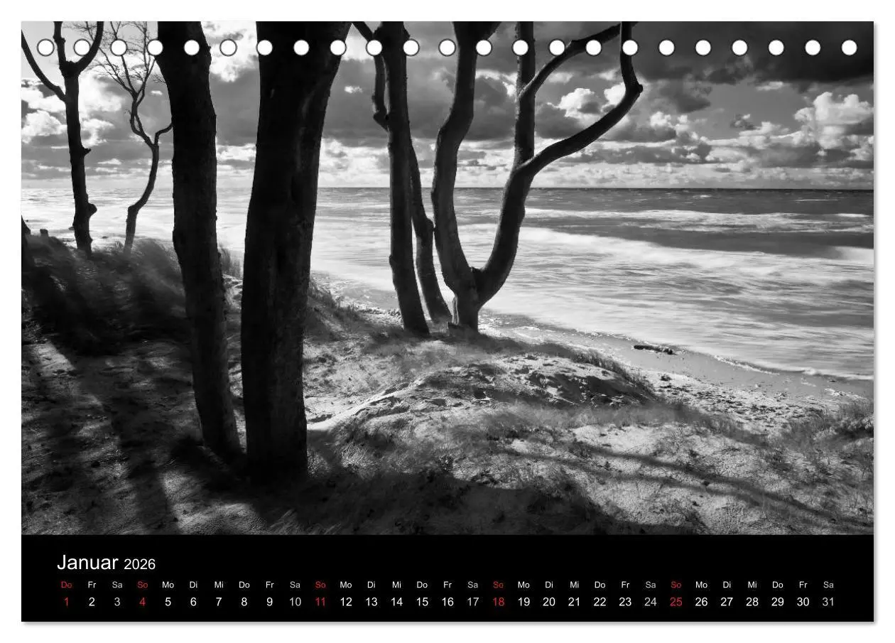 Bild: 9783516083651 | Strandspaziergang an der Ostsee (Tischkalender 2026 DIN A5 quer),...