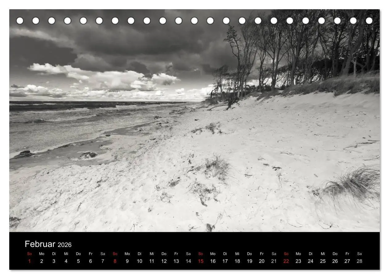 Bild: 9783516083651 | Strandspaziergang an der Ostsee (Tischkalender 2026 DIN A5 quer),...
