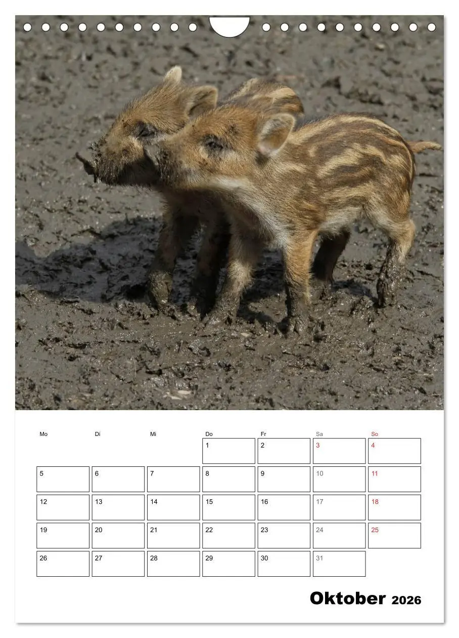 Bild: 9783516463651 | Der wildschweinische Terminplaner (Wandkalender 2026 DIN A4 hoch),...