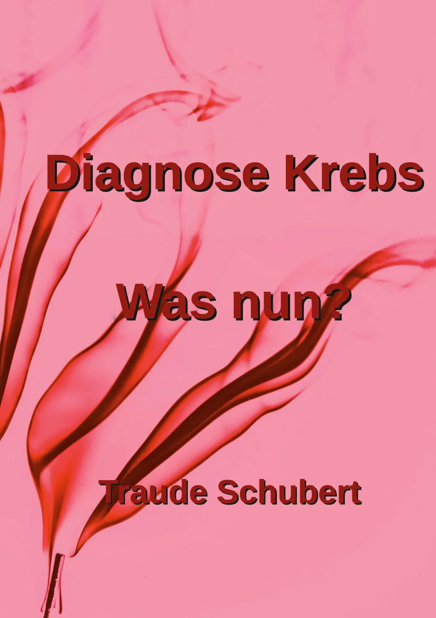 Cover: 9783695733651 | Diagnose Krebs | Was nun? | Traude Schubert | Taschenbuch | 126 S.