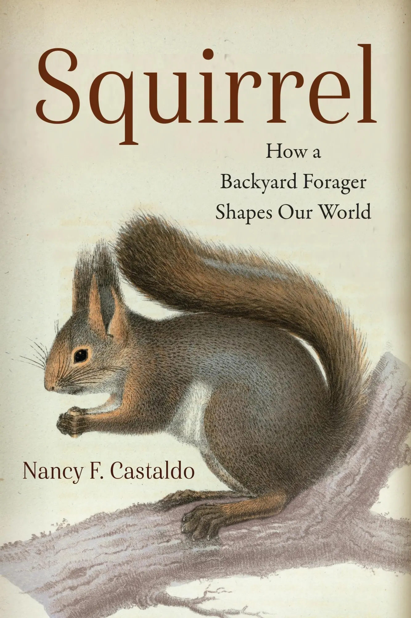 Cover: 9781642833751 | Squirrel | How a Backyard Forager Shapes Our World | Nancy Castaldo