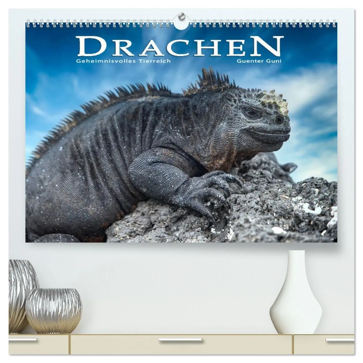 Cover: 9783457433751 | Drachen: Geheimnisvolles Tierreich (hochwertiger Premium...