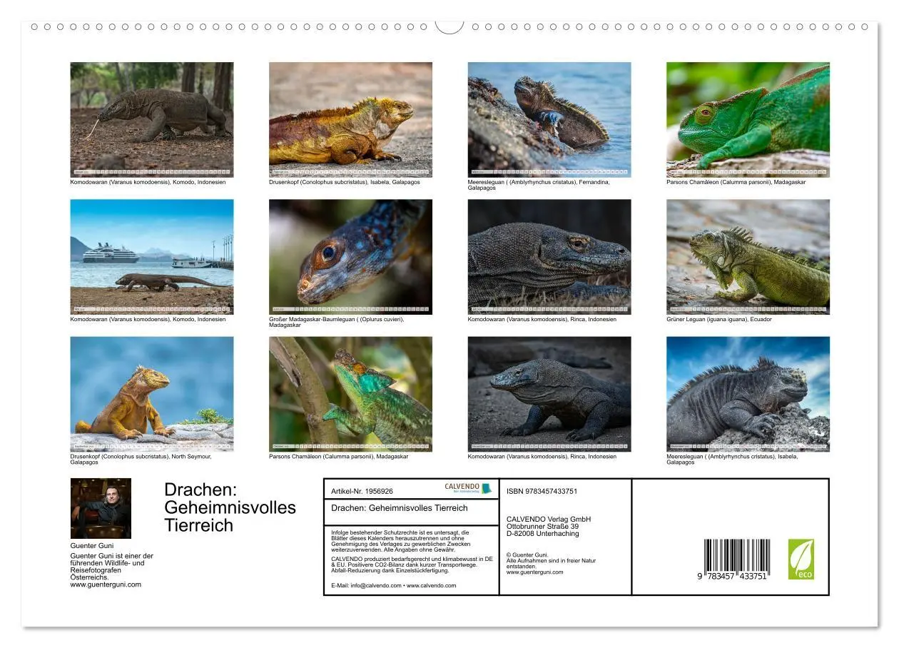 Bild: 9783457433751 | Drachen: Geheimnisvolles Tierreich (hochwertiger Premium...