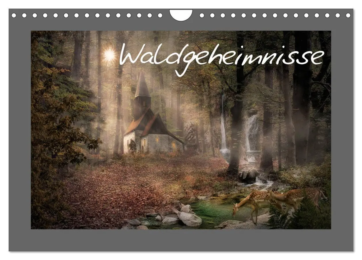 Cover: 9783457813751 | Waldgeheimnisse (Wandkalender 2026 DIN A4 quer), CALVENDO...