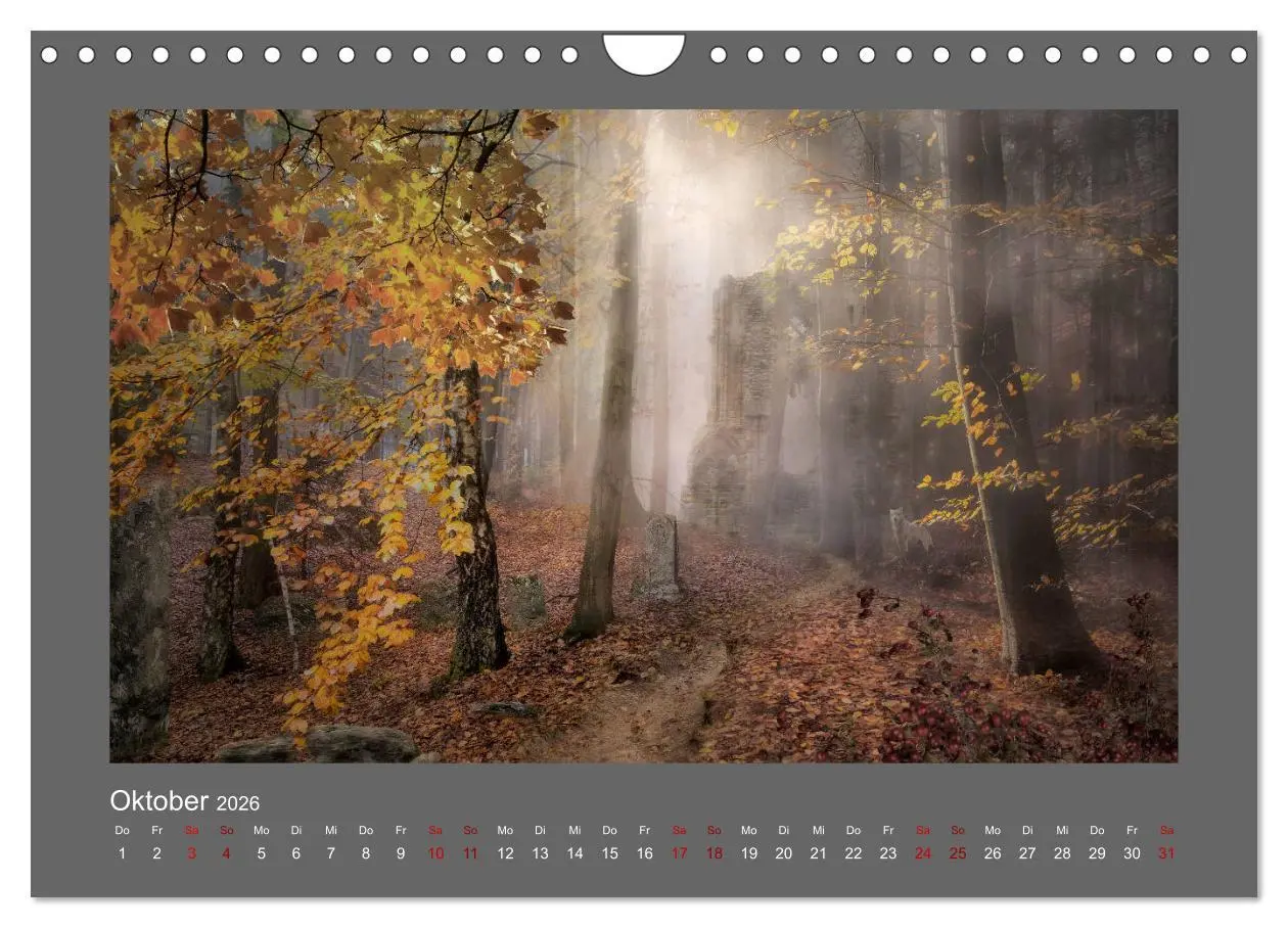 Bild: 9783457813751 | Waldgeheimnisse (Wandkalender 2026 DIN A4 quer), CALVENDO...
