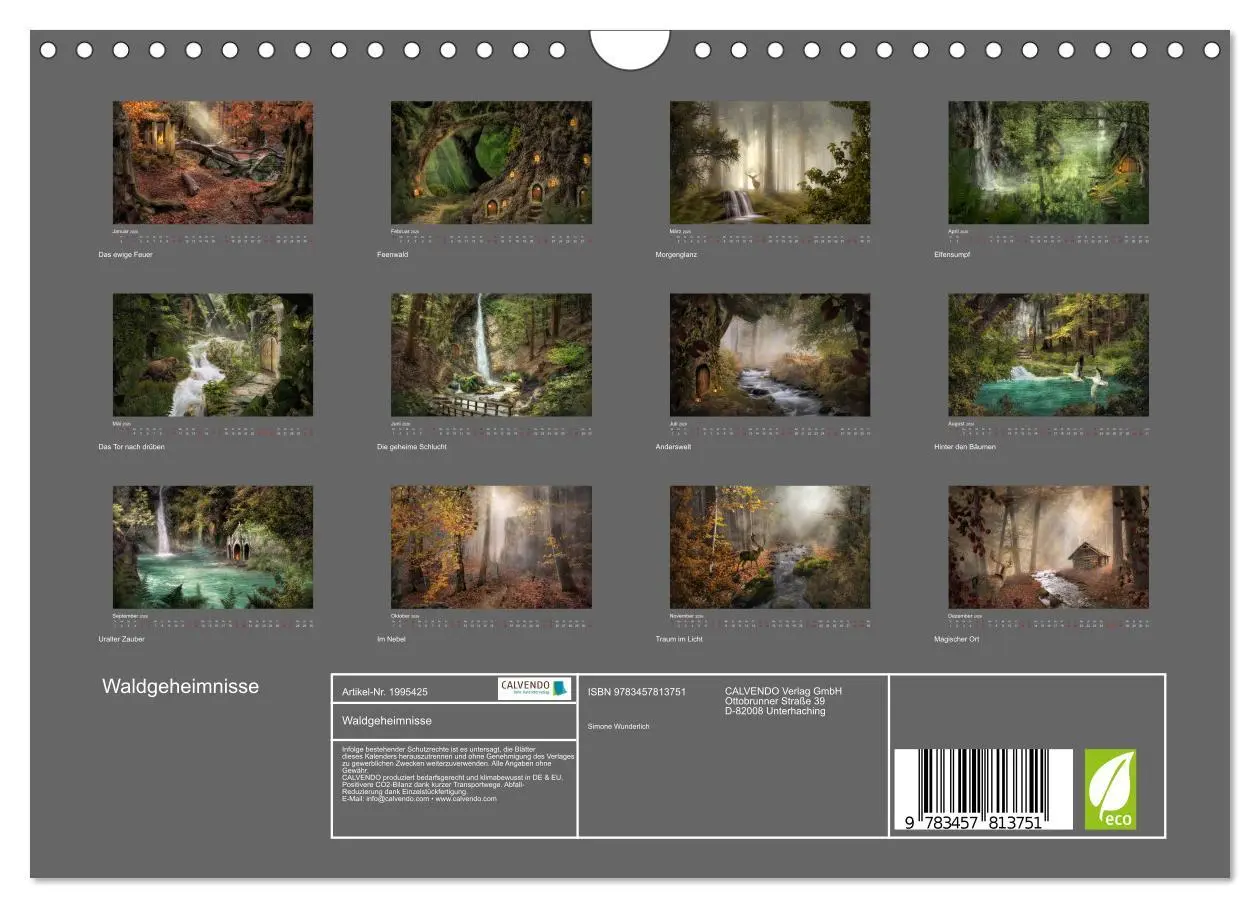 Bild: 9783457813751 | Waldgeheimnisse (Wandkalender 2026 DIN A4 quer), CALVENDO...