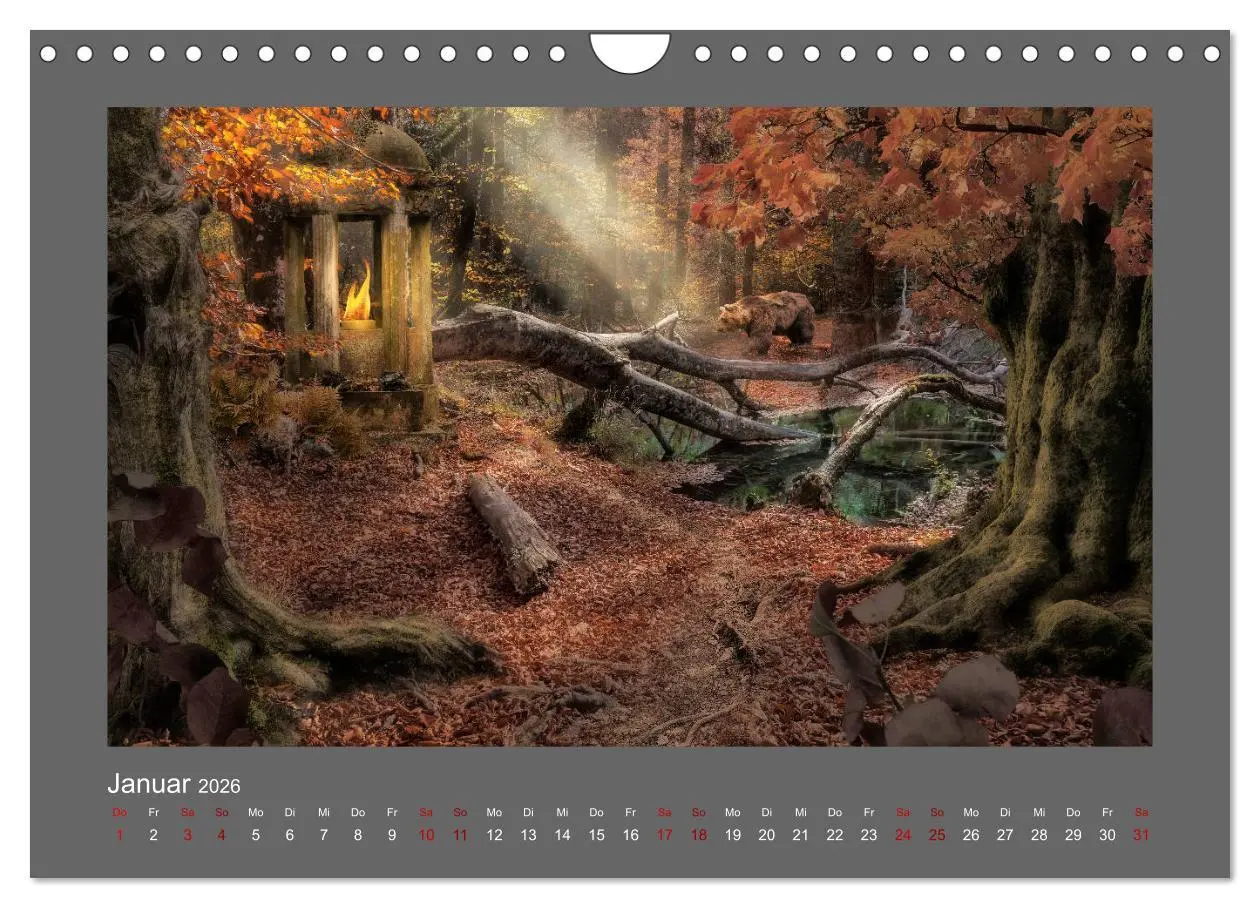 Bild: 9783457813751 | Waldgeheimnisse (Wandkalender 2026 DIN A4 quer), CALVENDO...