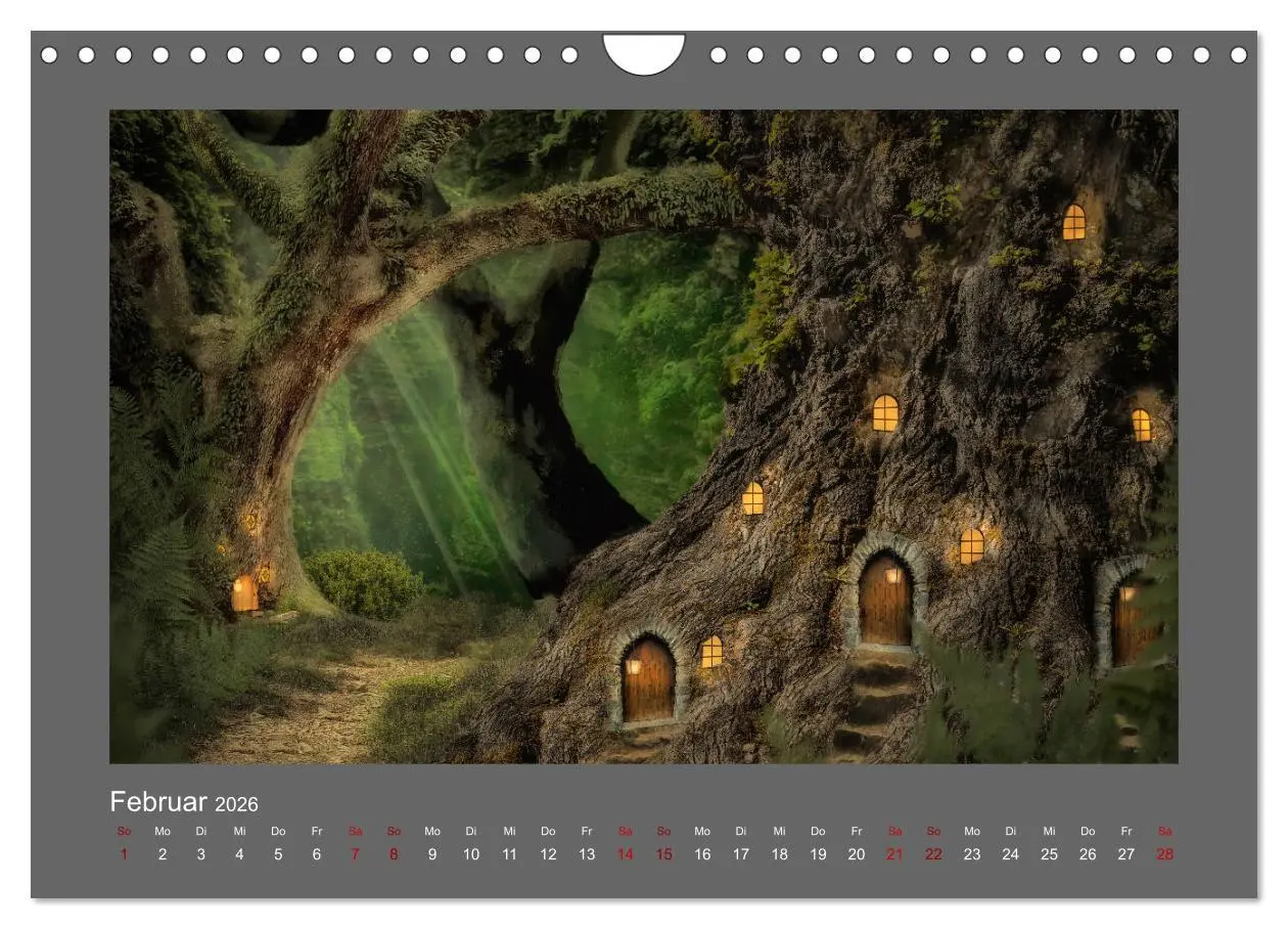 Bild: 9783457813751 | Waldgeheimnisse (Wandkalender 2026 DIN A4 quer), CALVENDO...