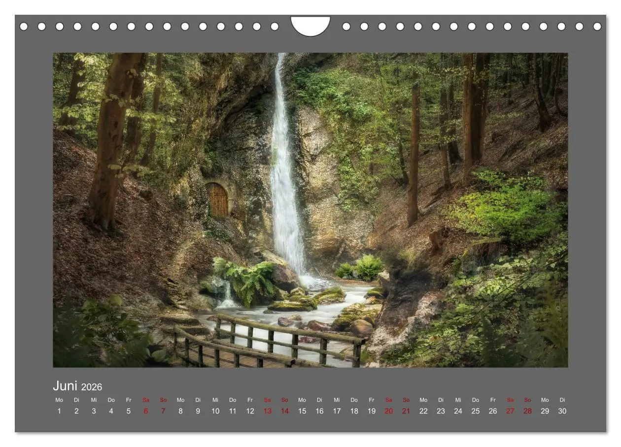 Bild: 9783457813751 | Waldgeheimnisse (Wandkalender 2026 DIN A4 quer), CALVENDO...
