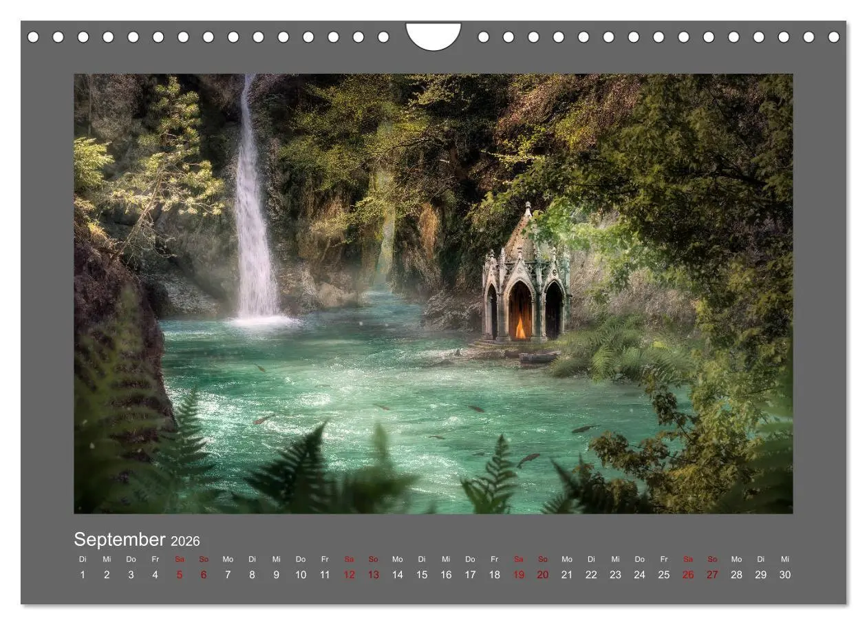 Bild: 9783457813751 | Waldgeheimnisse (Wandkalender 2026 DIN A4 quer), CALVENDO...