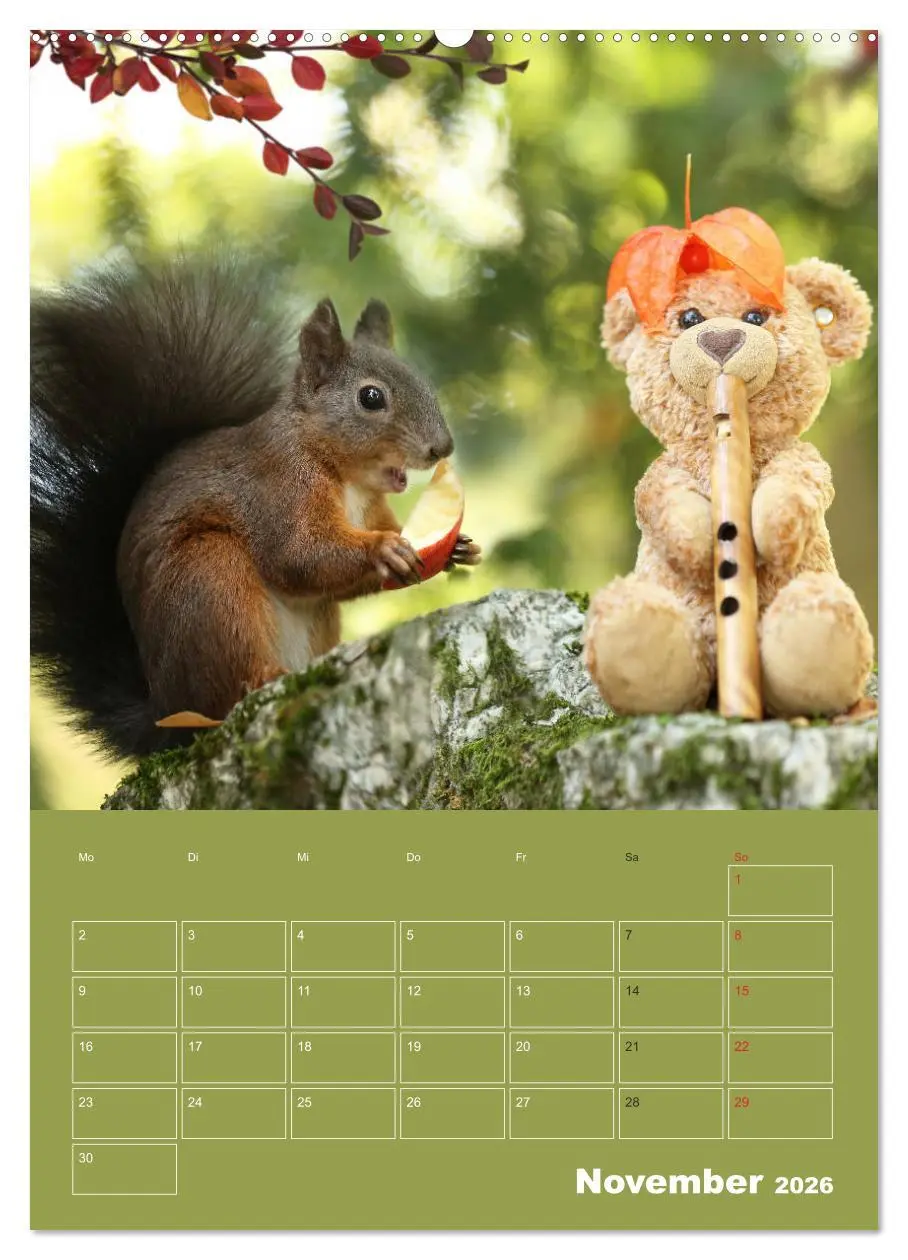 Bild: 9783516383751 | Eichhörnchen - Abenteuer mit Freund Teddy (hochwertiger Premium...