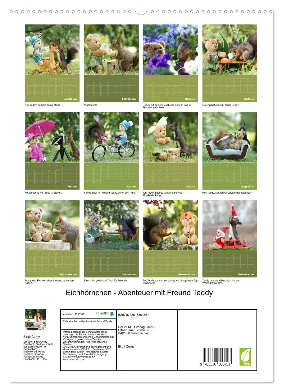 Bild: 9783516383751 | Eichhörnchen - Abenteuer mit Freund Teddy (hochwertiger Premium...