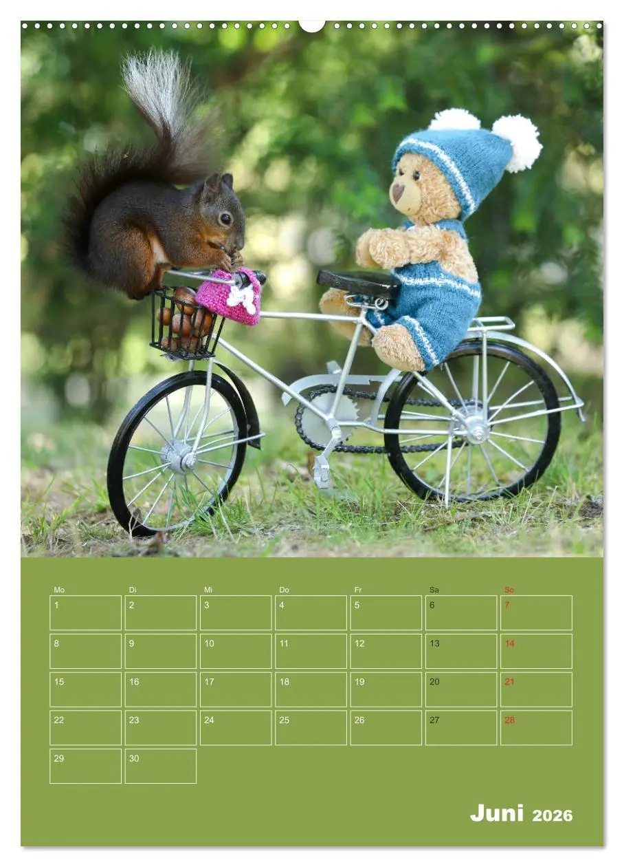Bild: 9783516383751 | Eichhörnchen - Abenteuer mit Freund Teddy (hochwertiger Premium...