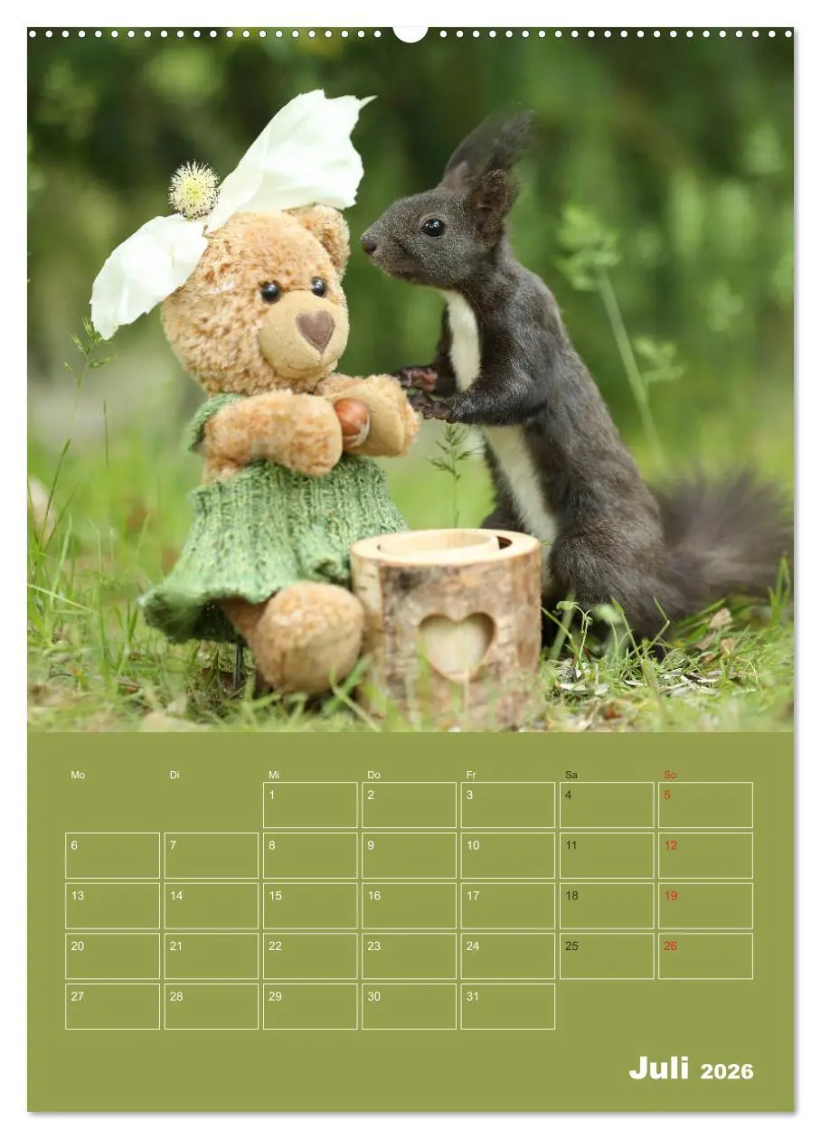 Bild: 9783516383751 | Eichhörnchen - Abenteuer mit Freund Teddy (hochwertiger Premium...