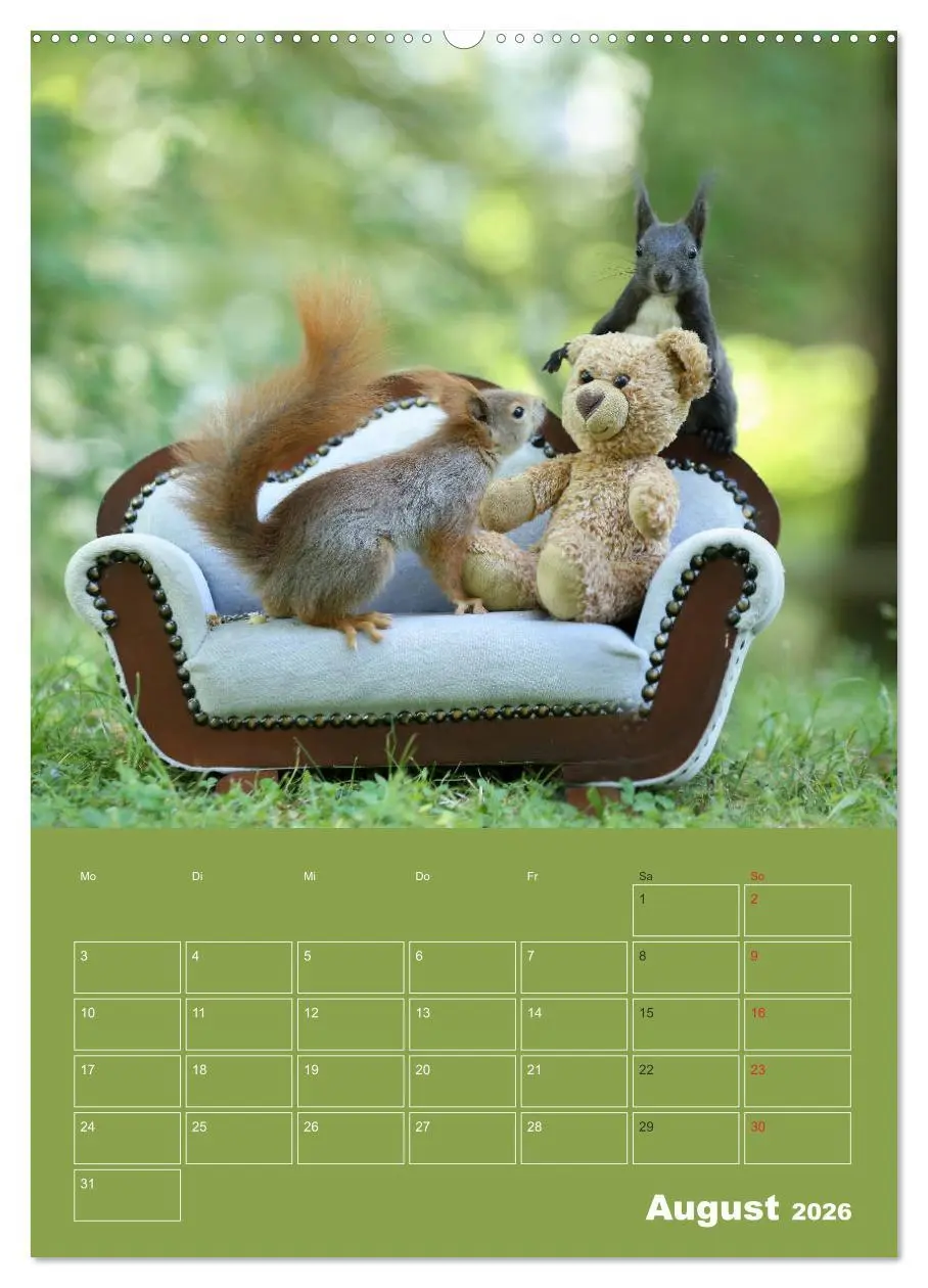 Bild: 9783516383751 | Eichhörnchen - Abenteuer mit Freund Teddy (hochwertiger Premium...