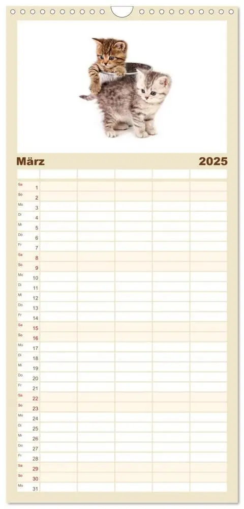 Bild: 9783457113851 | Familienplaner 2025 - Katzenbabys mit 5 Spalten (Wandkalender, 21 x...