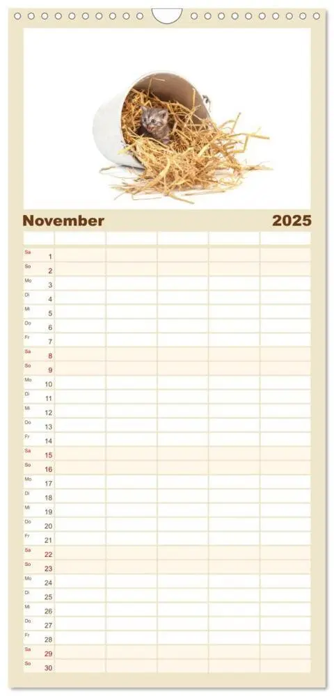 Bild: 9783457113851 | Familienplaner 2025 - Katzenbabys mit 5 Spalten (Wandkalender, 21 x...