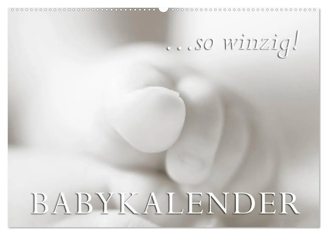 Cover: 9783516133851 | ...so winzig - Babykalender (Wandkalender 2026 DIN A2 quer),...