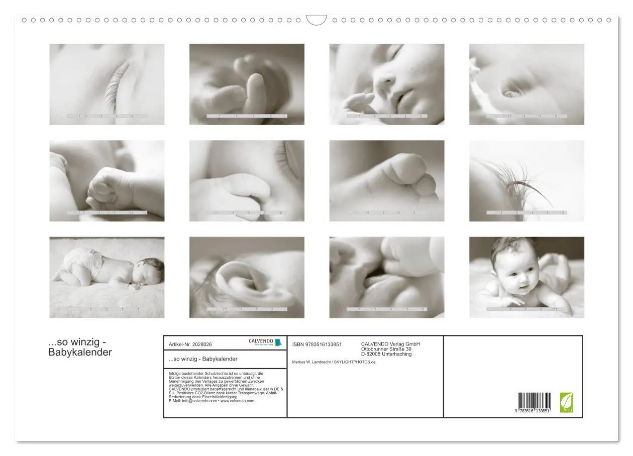Bild: 9783516133851 | ...so winzig - Babykalender (Wandkalender 2026 DIN A2 quer),...