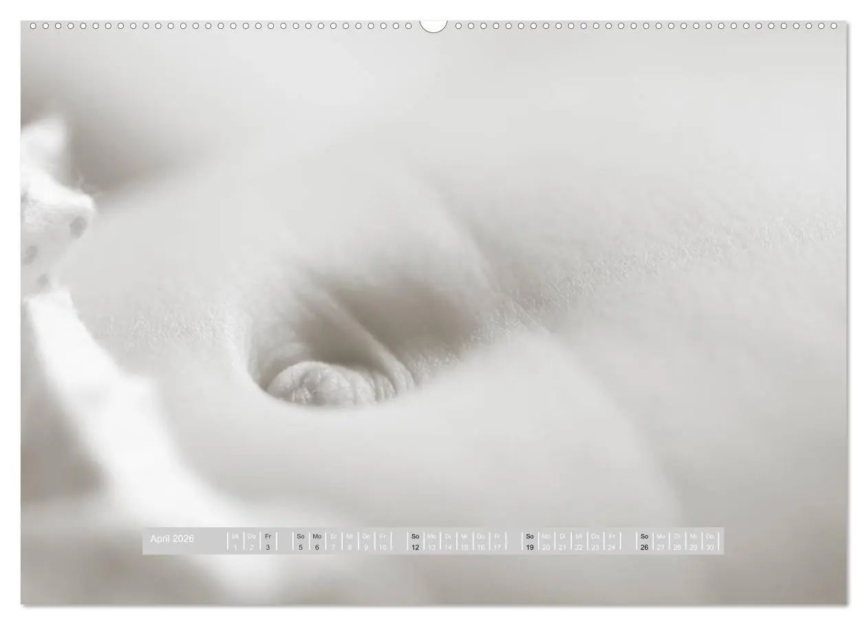 Bild: 9783516133851 | ...so winzig - Babykalender (Wandkalender 2026 DIN A2 quer),...