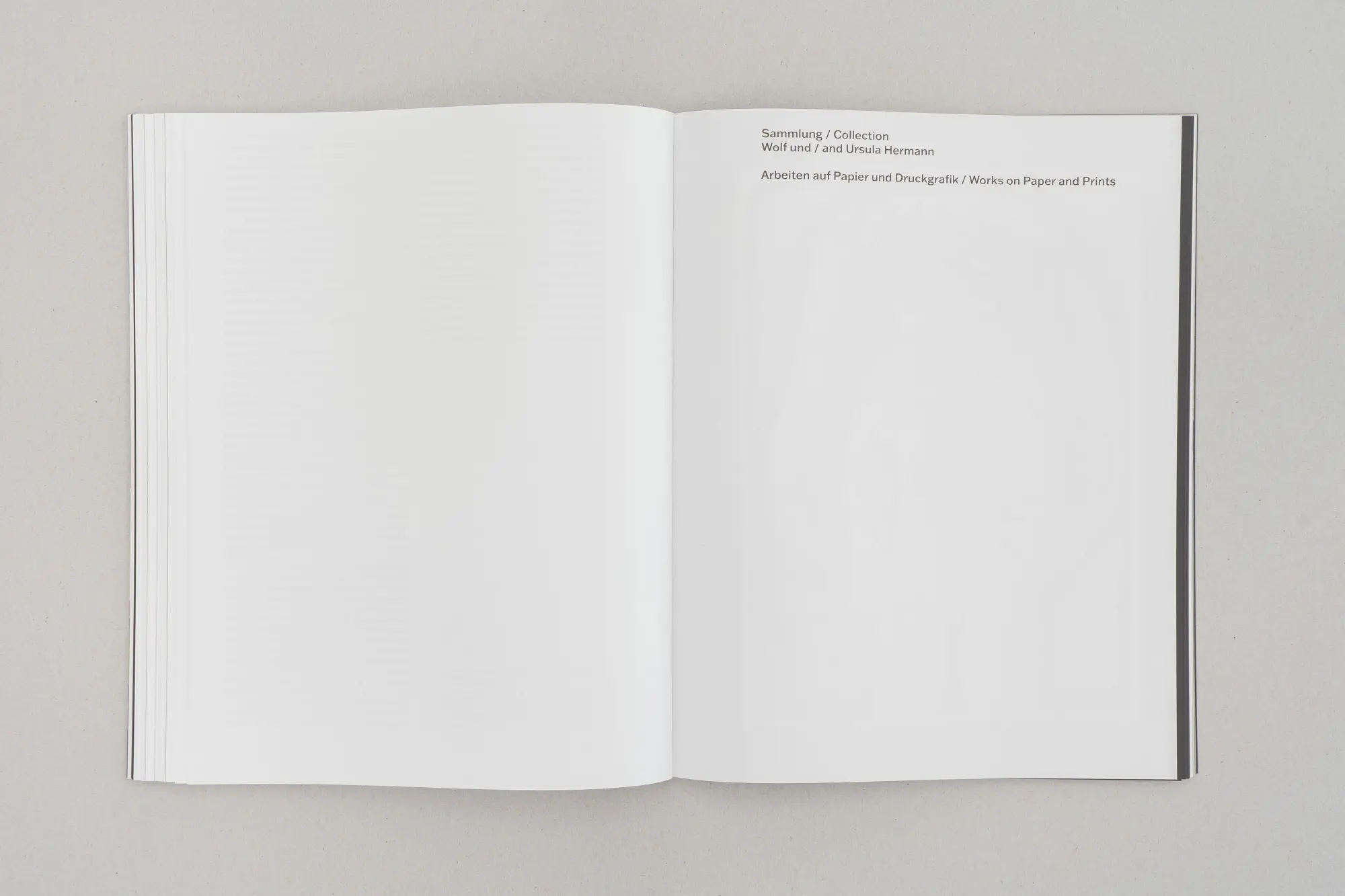 Bild: 9783775763851 | Horst Antes. Eine Sammlung | Studienstiftung Horst Antes | Taschenbuch