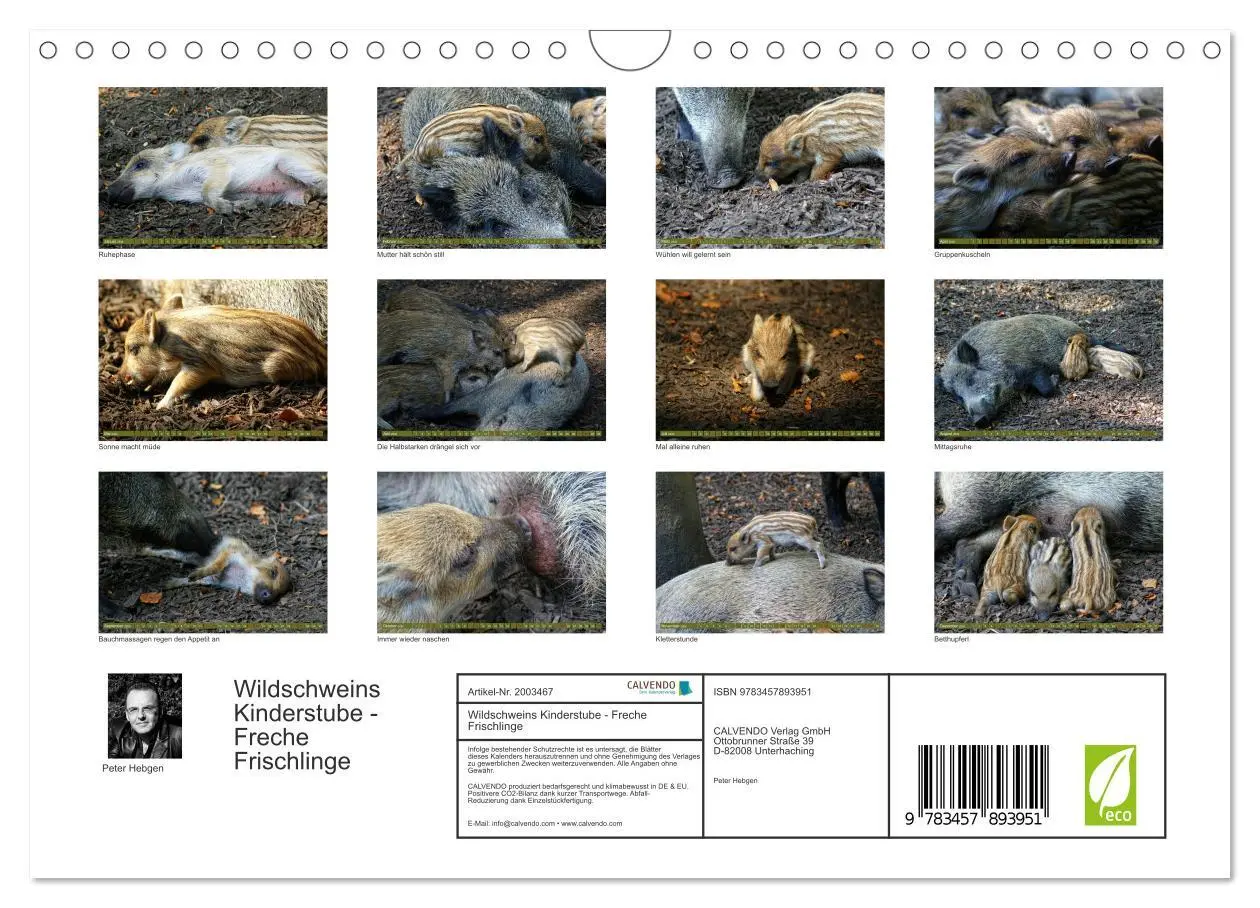 Bild: 9783457893951 | Wildschweins Kinderstube - Freche Frischlinge (Wandkalender 2026...