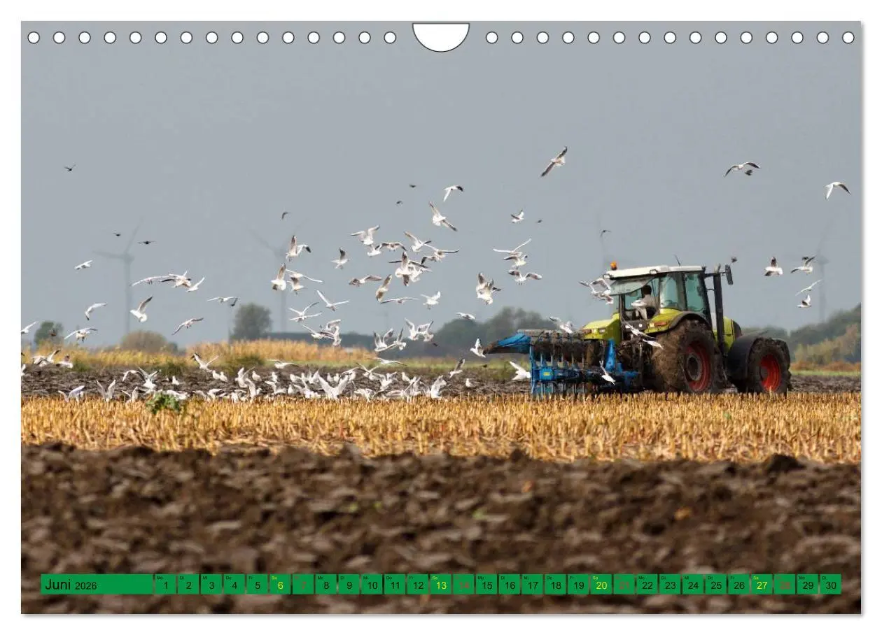 Bild: 9783516053951 | Landwirtschaft - Maschinen im Einsatz (Wandkalender 2026 DIN A4...