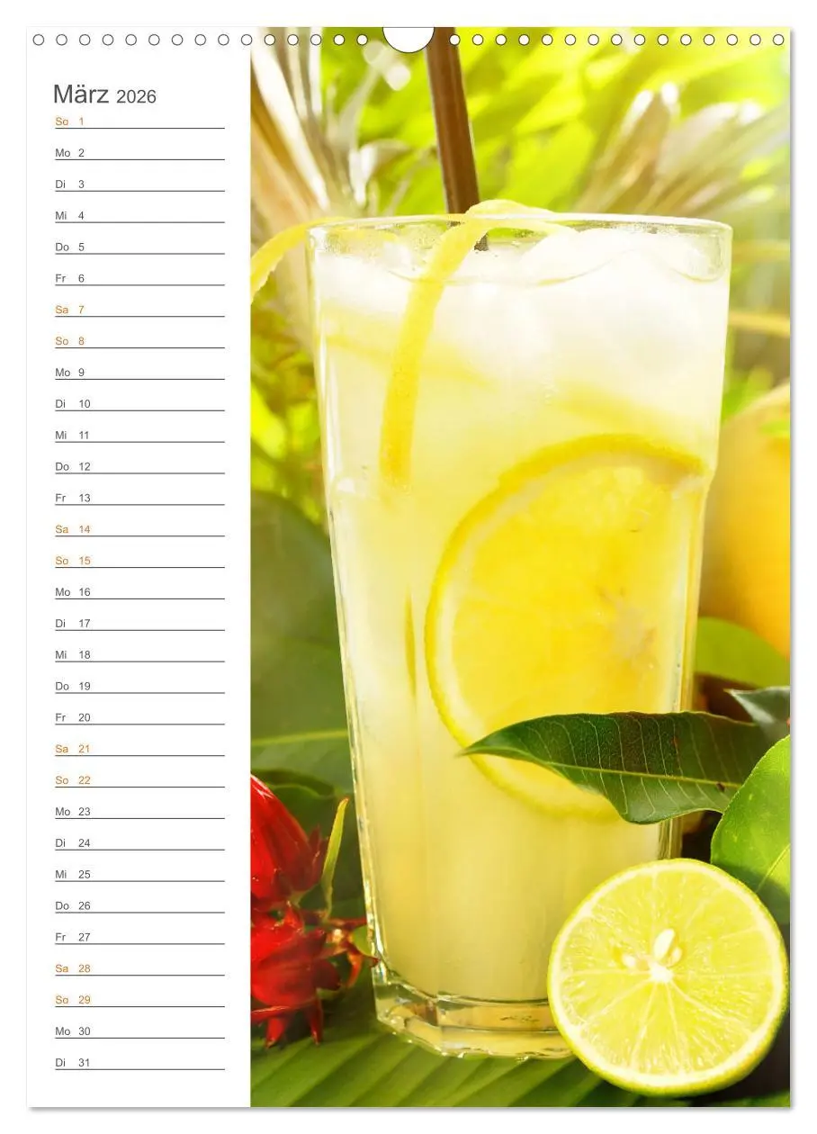 Bild: 9783516363951 | Tropical Cocktails - Erfrischend und fruchtig (Wandkalender 2026...