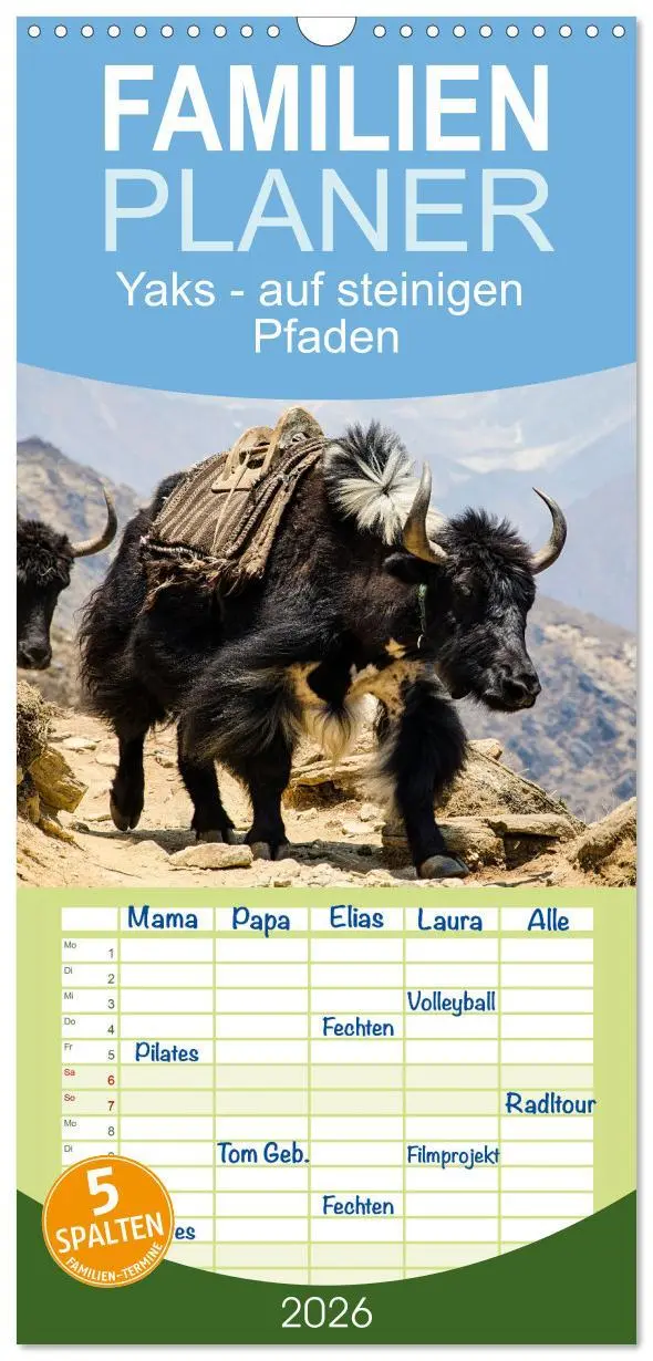 Cover: 9783516503951 | Familienplaner 2026 - Yaks - auf steinigen Pfaden mit 5 Spalten...