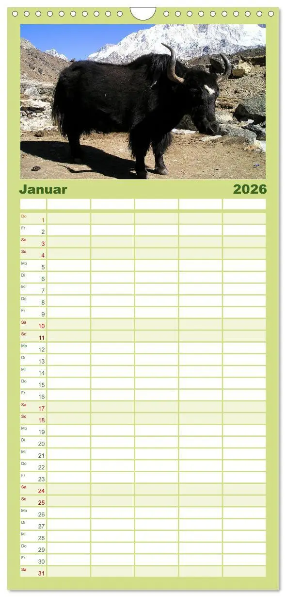 Bild: 9783516503951 | Familienplaner 2026 - Yaks - auf steinigen Pfaden mit 5 Spalten...
