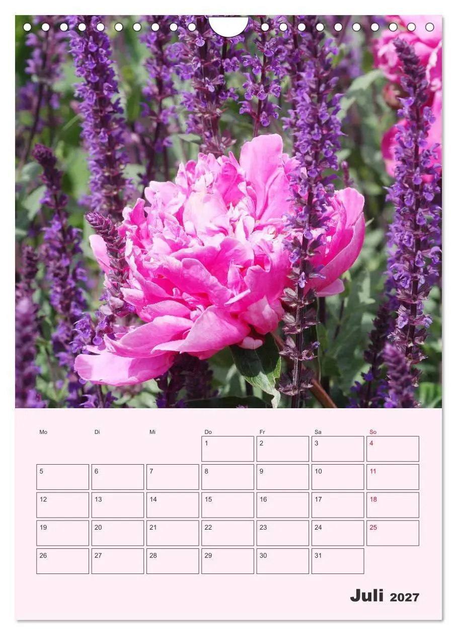 Bild: 9783569693951 | Pfingstrosen Rosen ohne Dornen (Wandkalender 2027 DIN A4 hoch),...