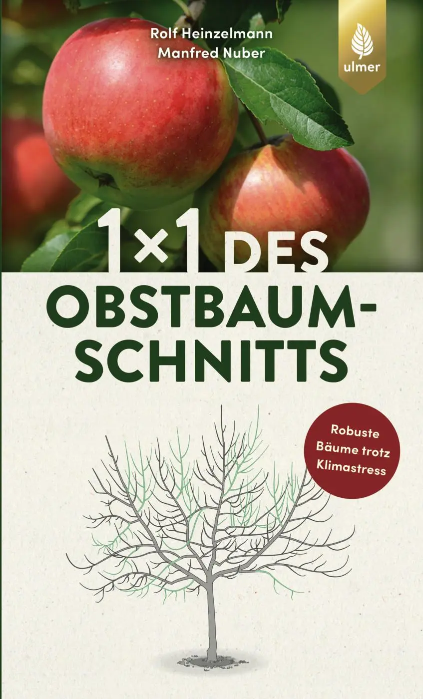 Cover: 9783818623951 | 1 x 1 des Obstbaumschnitts | Bild für Bild | Rolf Heinzelmann (u. a.)