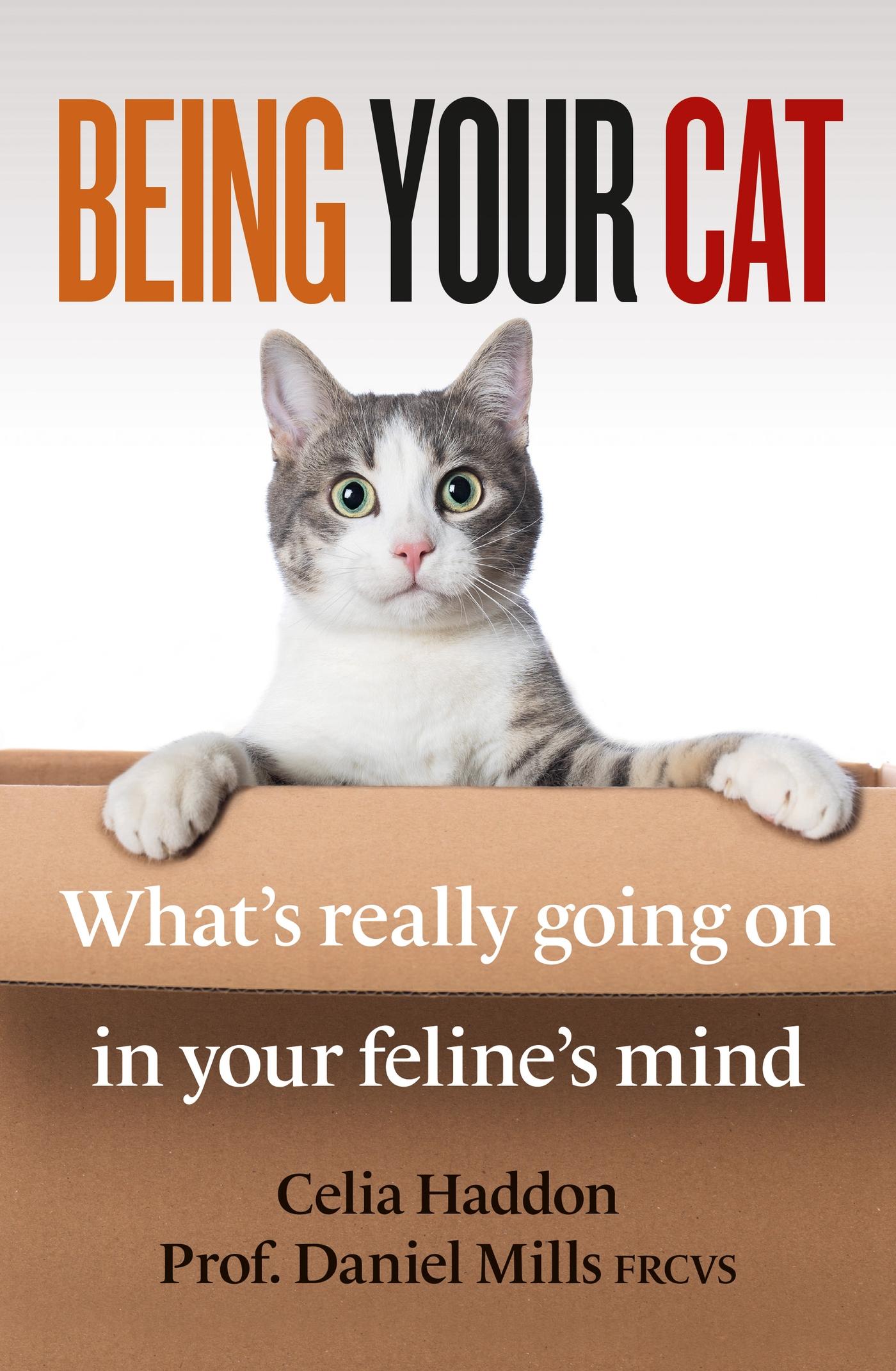 Cover: 9781788404051 | Being Your Cat | What's Really Going on in Your Feline's Mind | Haddon