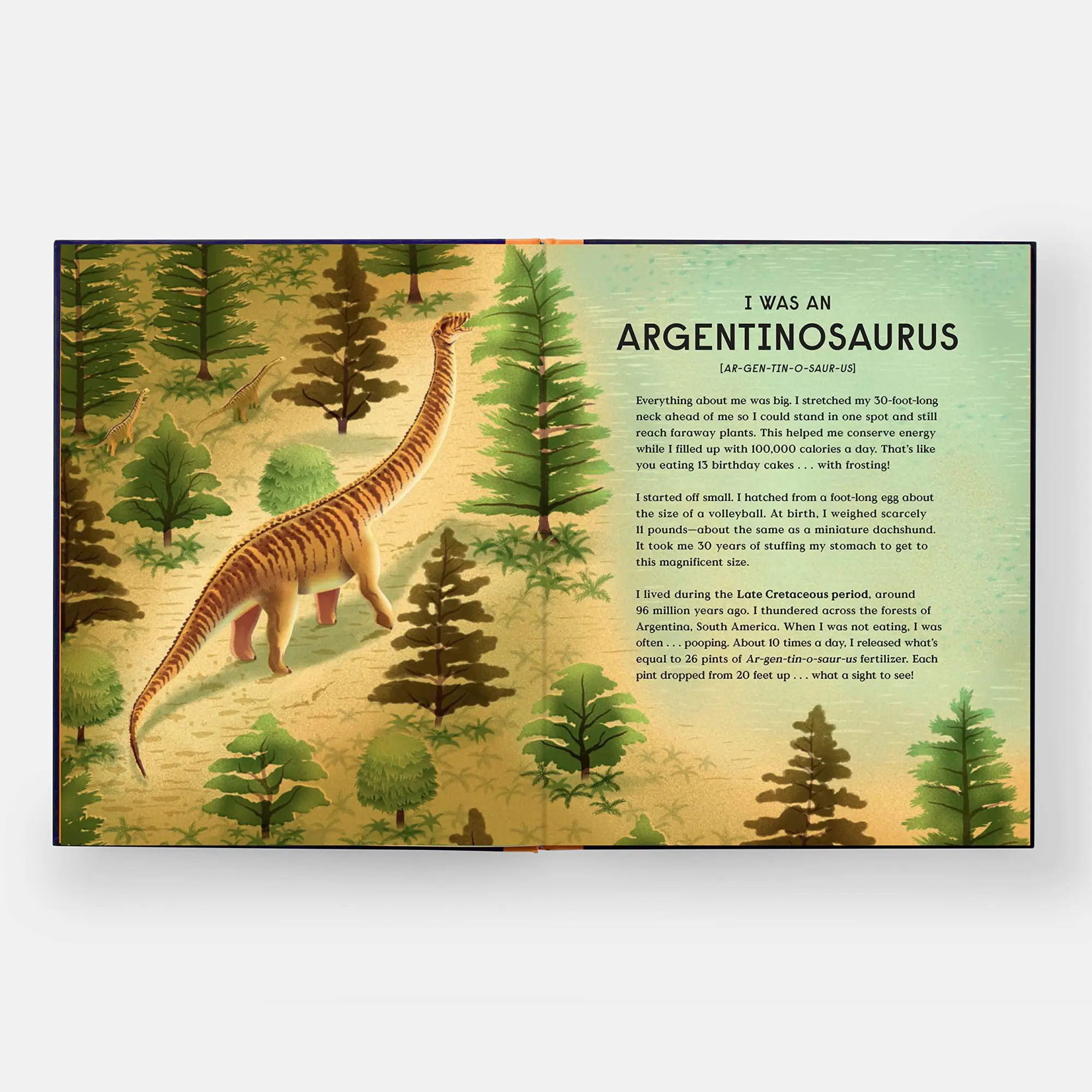 Bild: 9781838664251 | Book of Dinosaurs | 10 Record-Breaking Prehistoric Animals | Balkan