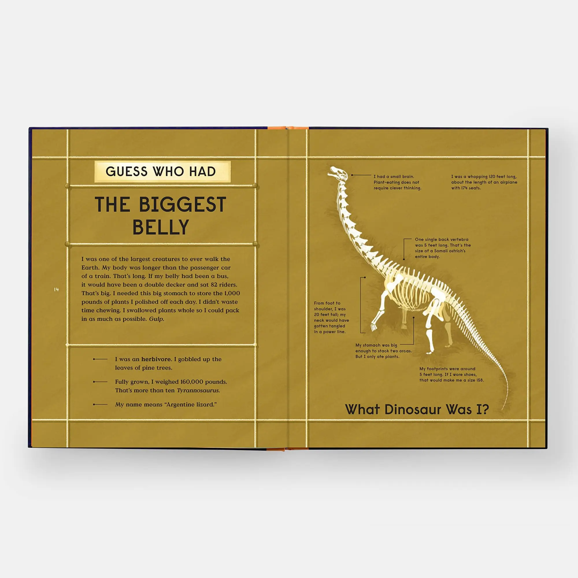 Bild: 9781838664251 | Book of Dinosaurs | 10 Record-Breaking Prehistoric Animals | Balkan