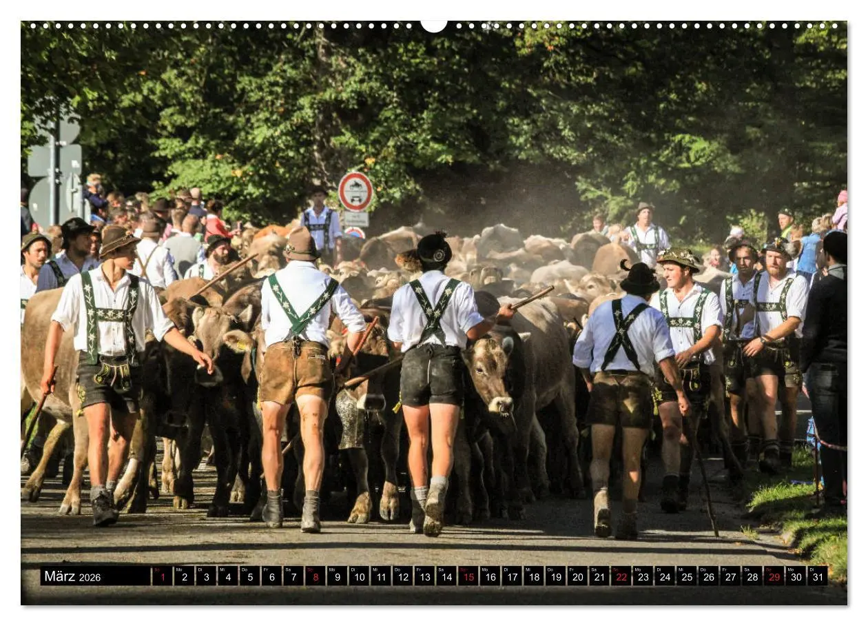 Bild: 9783457764251 | Faszination Allgäu (Wandkalender 2026 DIN A2 quer), CALVENDO...