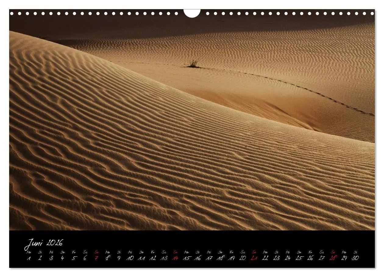 Bild: 9783516164251 | Faszination Wüste (Wandkalender 2026 DIN A3 quer), CALVENDO...