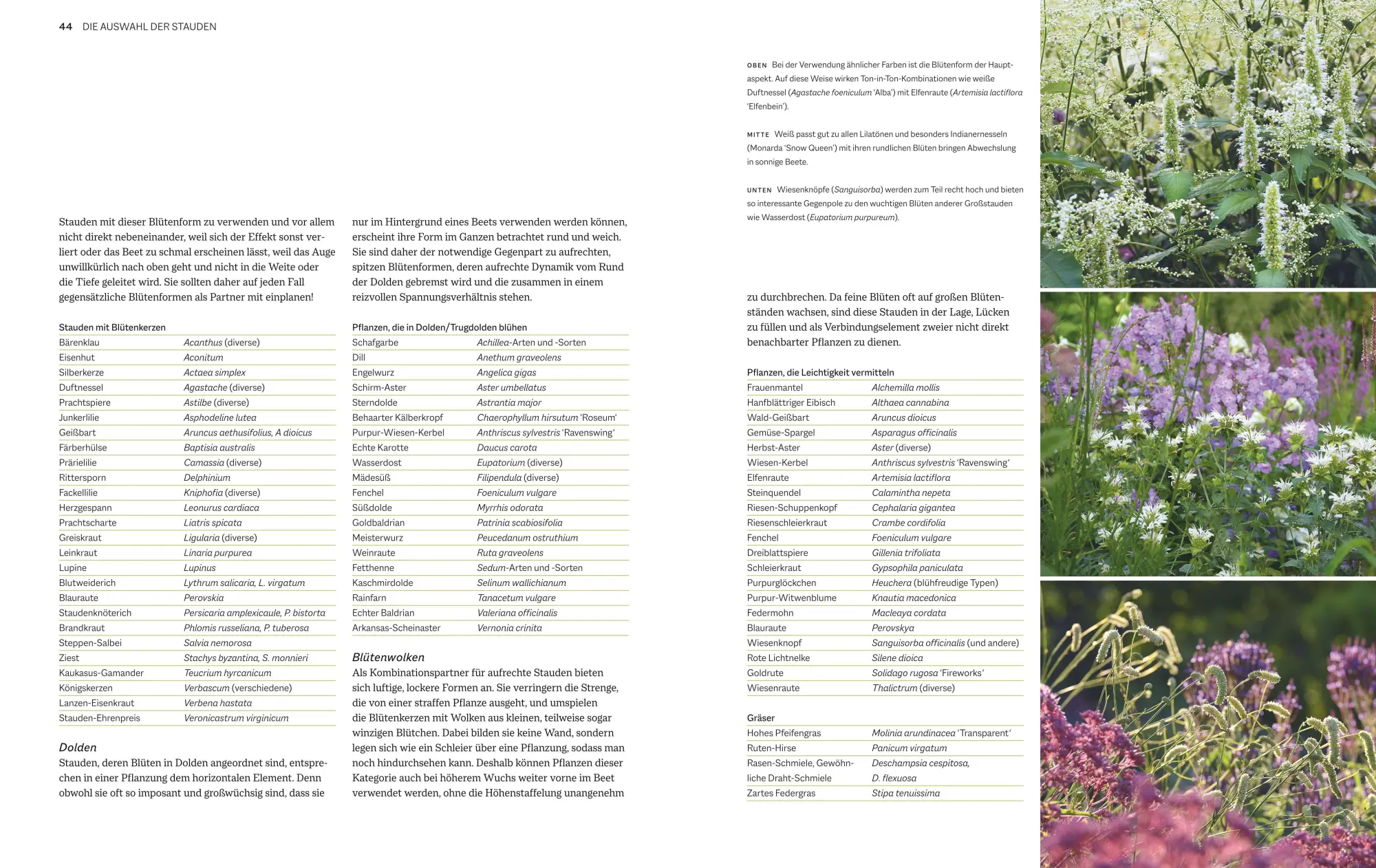 Bild: 9783833894251 | Immerblühende Beete | Katrin Lugerbauer | Buch | Gartengestaltung