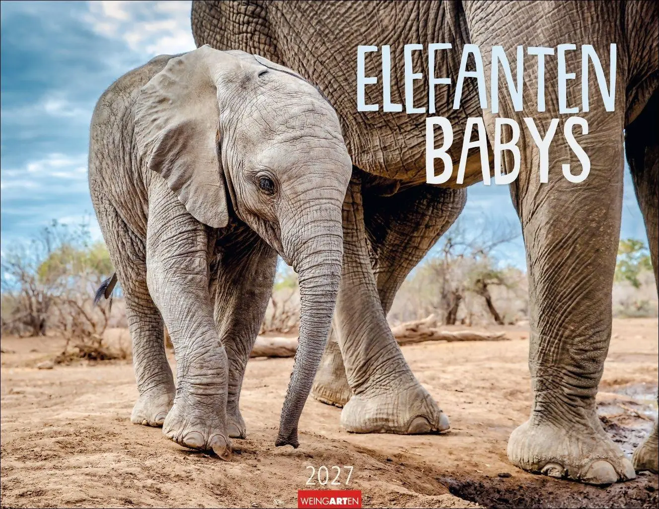 Cover: 9783839904251 | Elefantenbabys Kalender 2027 | Kalender | Tierkalender Weingarten