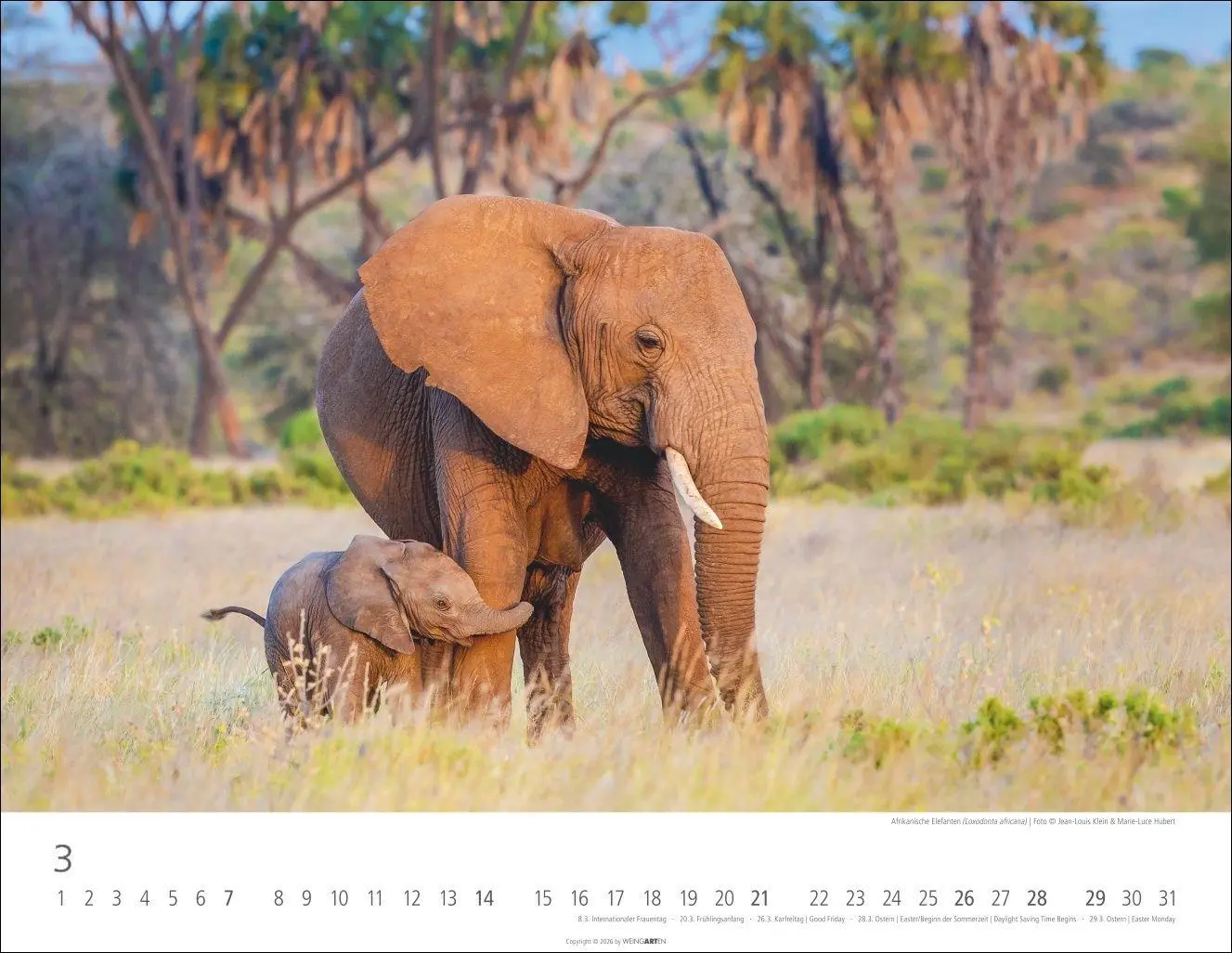Bild: 9783839904251 | Elefantenbabys Kalender 2027 | Kalender | Tierkalender Weingarten
