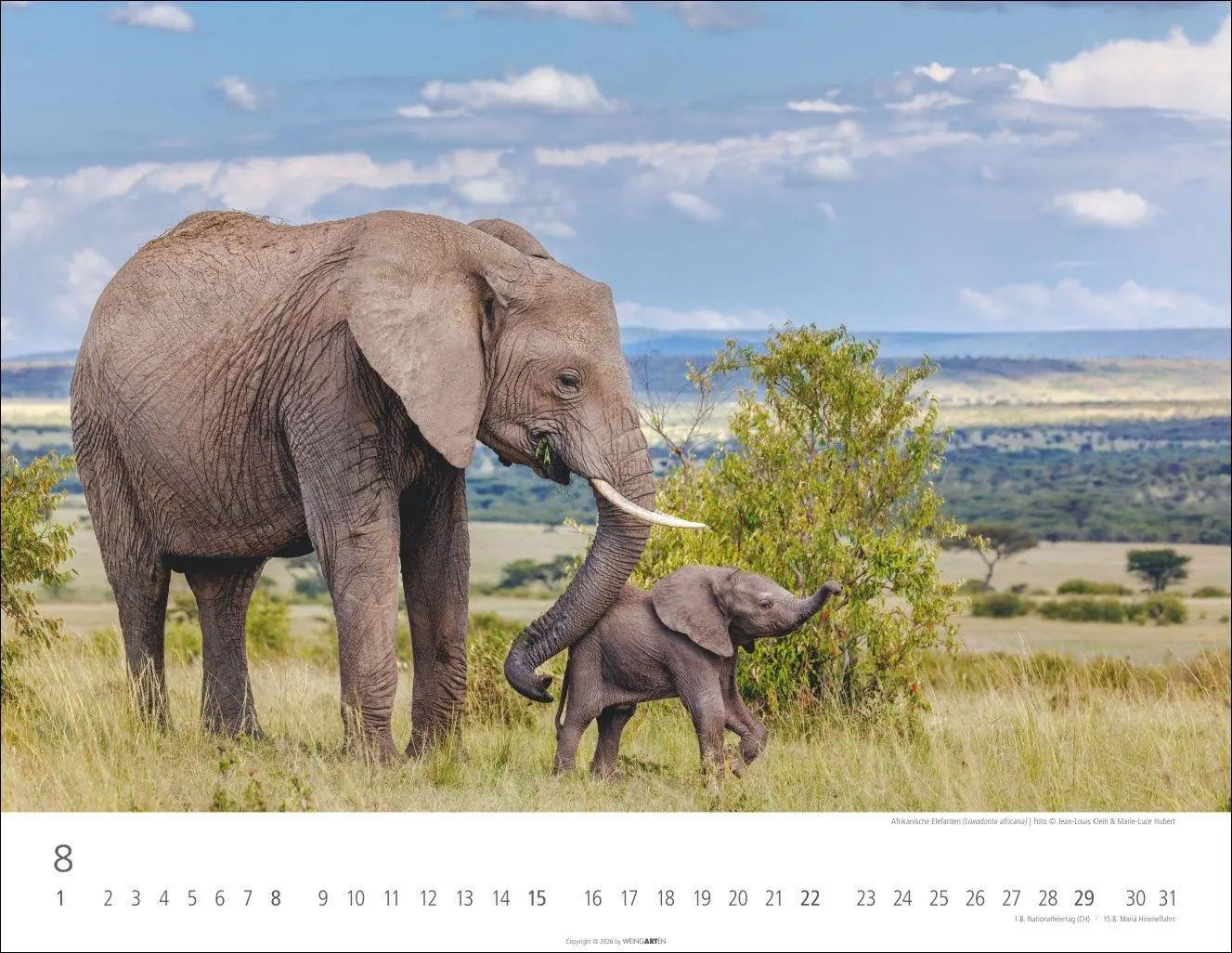 Bild: 9783839904251 | Elefantenbabys Kalender 2027 | Kalender | Tierkalender Weingarten