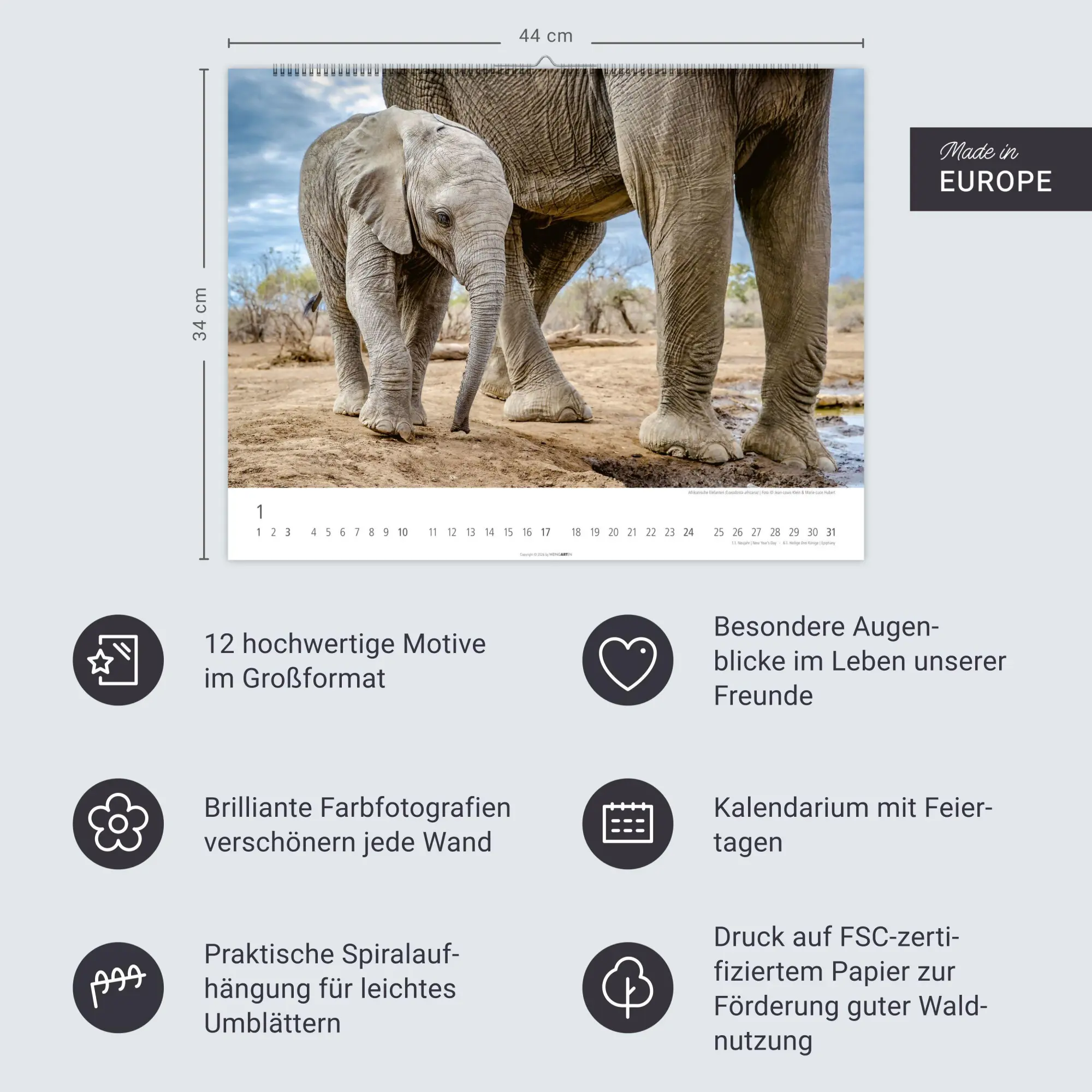 Bild: 9783839904251 | Elefantenbabys Kalender 2027 | Kalender | Tierkalender Weingarten