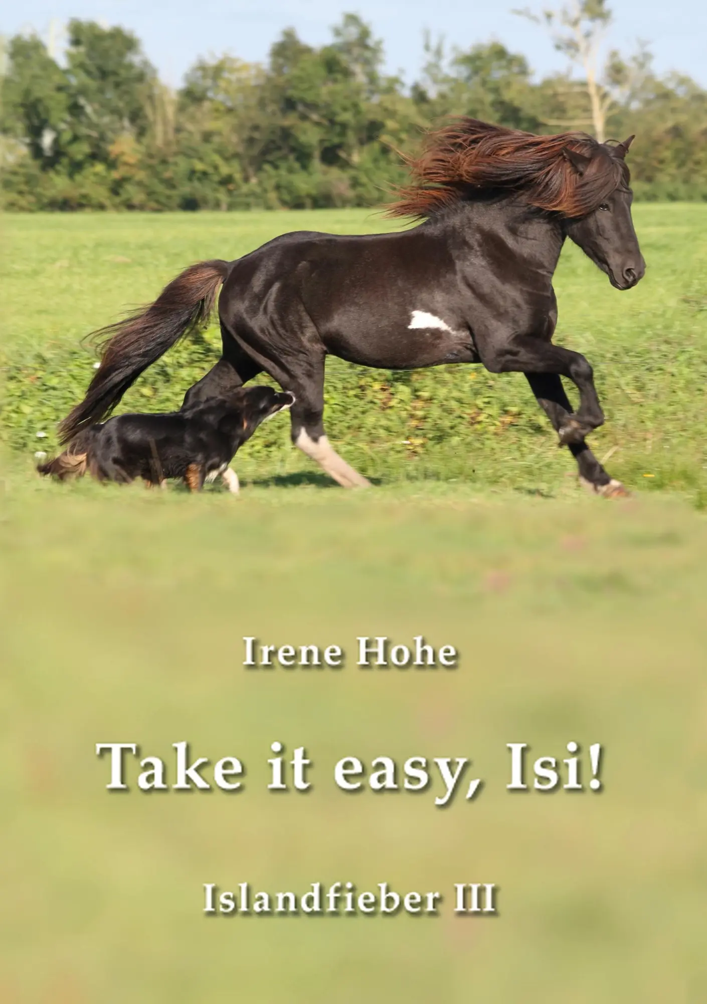 Cover: 9783944464251 | Take it easy, Isi! | Irene Hohe | Taschenbuch | Islandfieber | 230 S.