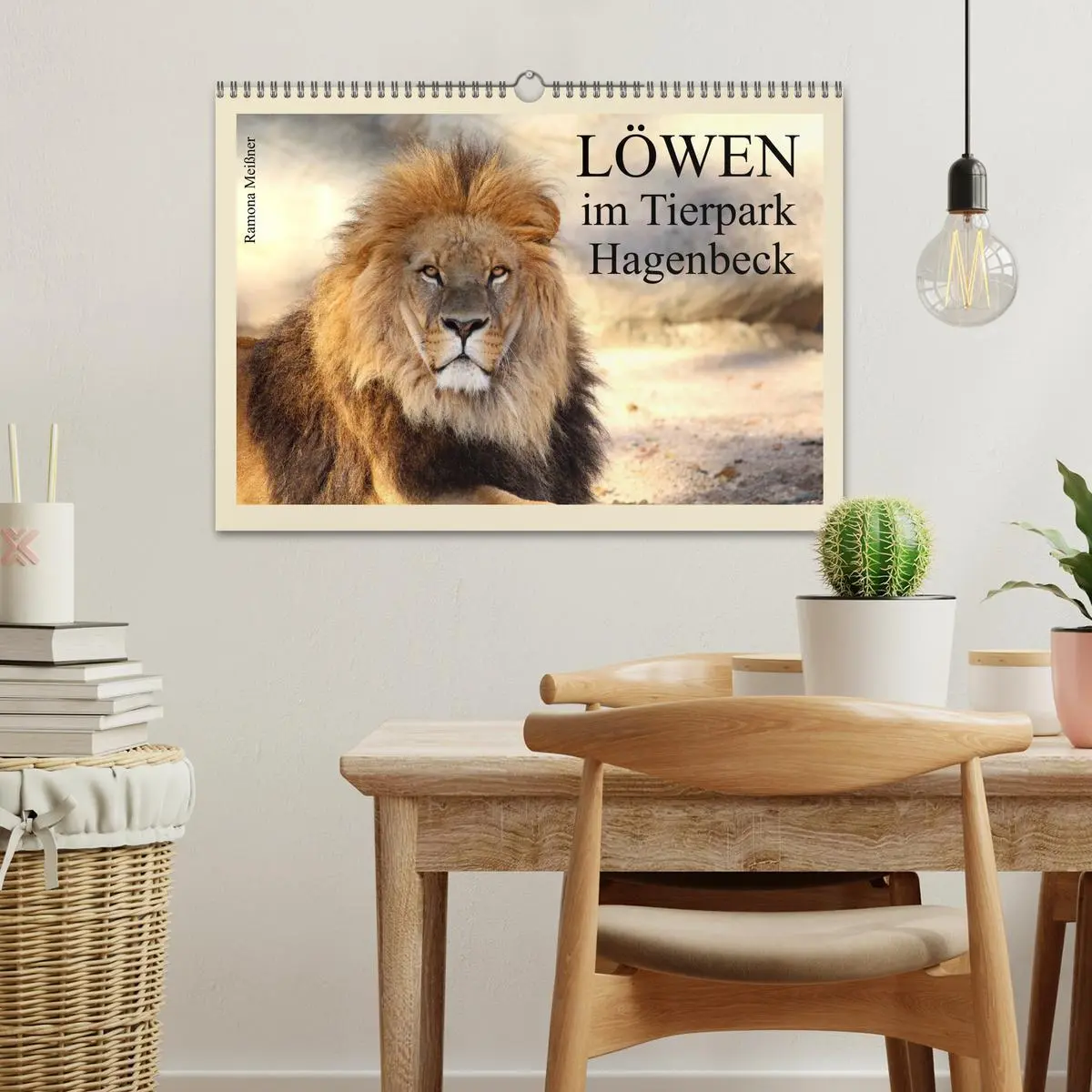 Bild: 9783516224351 | Löwen im Tierpark Hagenbeck (Wandkalender 2026 DIN A3 quer),...